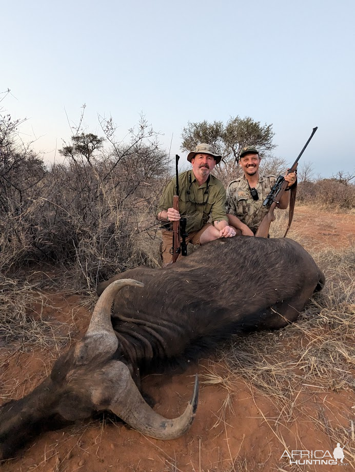 Buffalo Cow Hunt South Africa