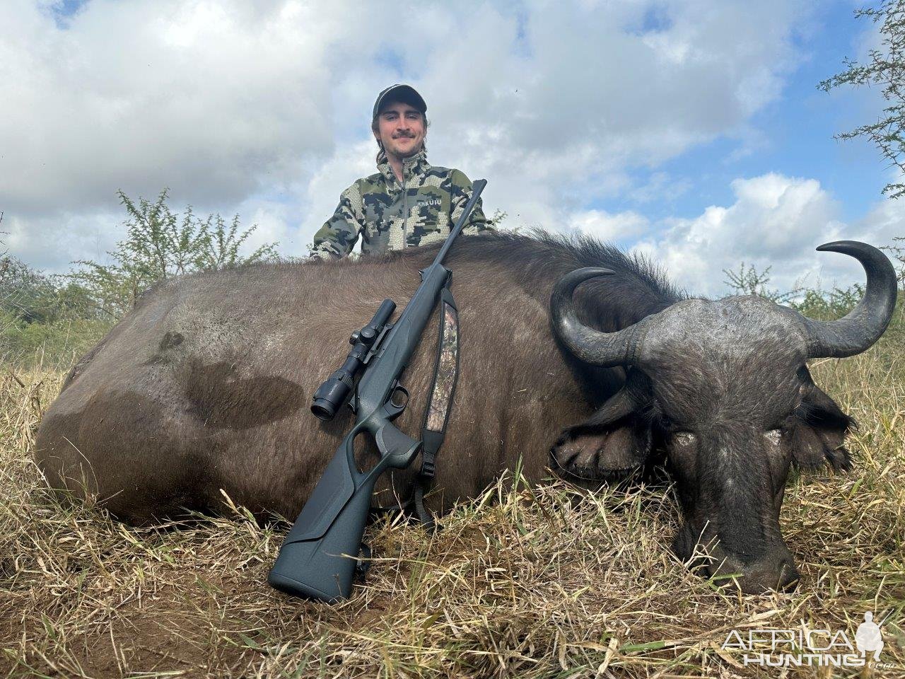 Buffalo Cow Hunt South Africa