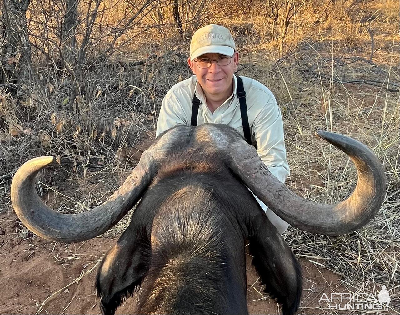 Buffalo Cow Hunt South Africa