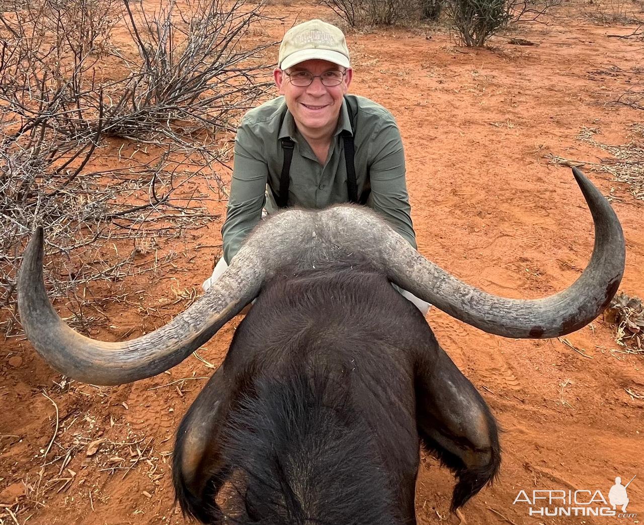 Buffalo Cow Hunt South Africa