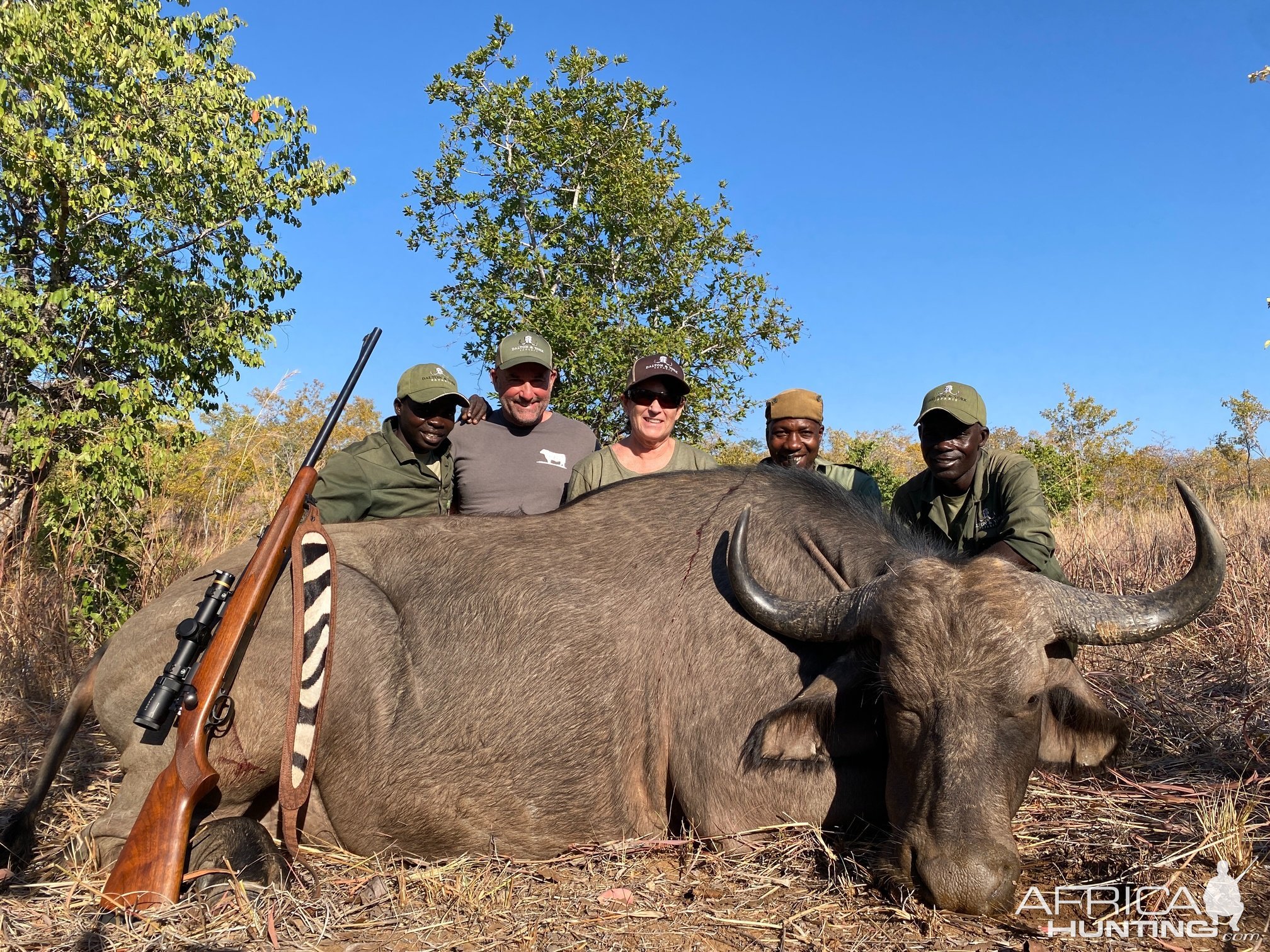 Buffalo Cow Hunt Zimbabwe