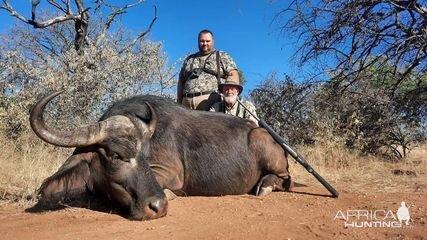 Buffalo Cow Hunting Limpopo South Africa