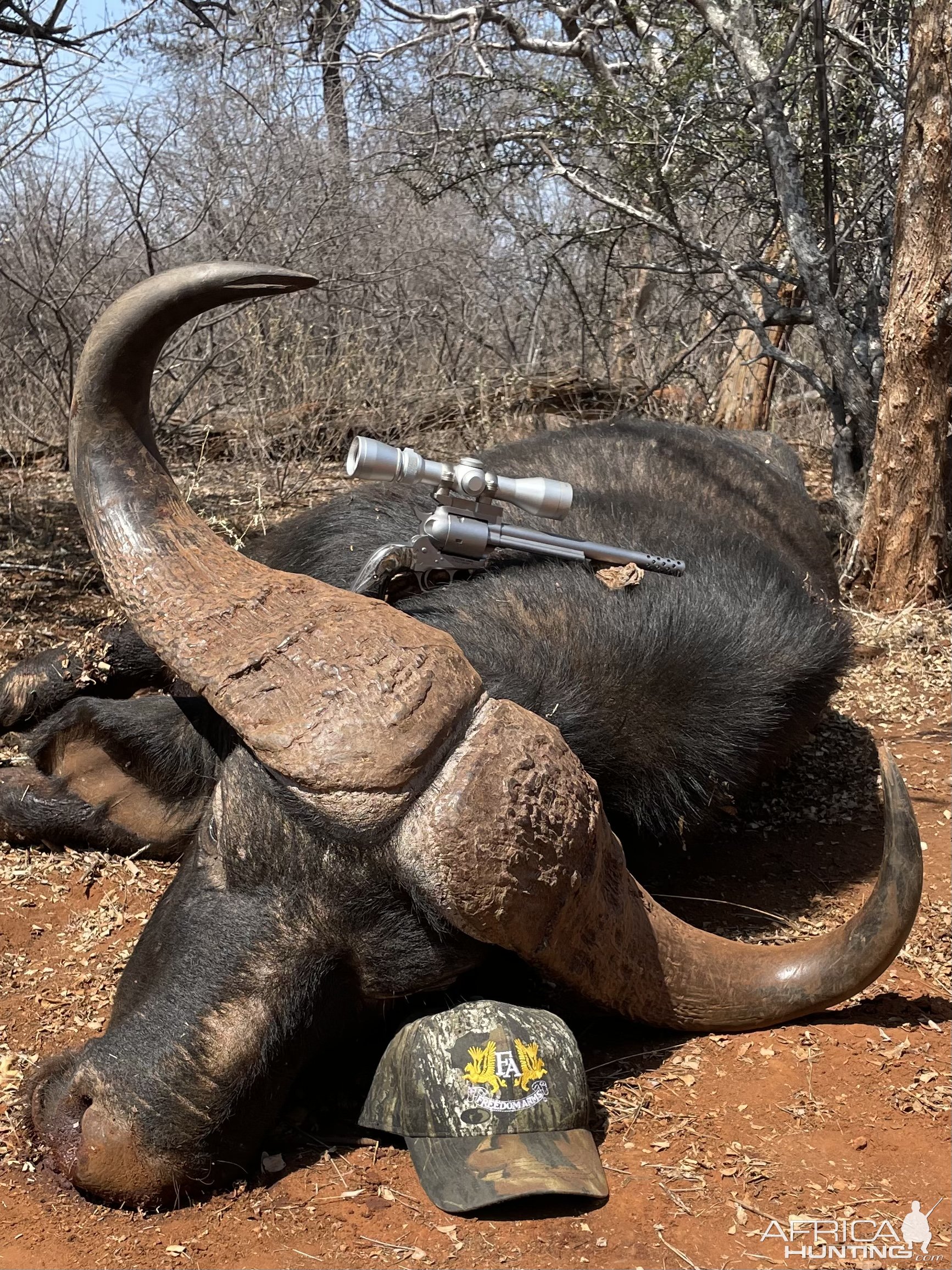 Buffalo Handgun Hunt South Africa