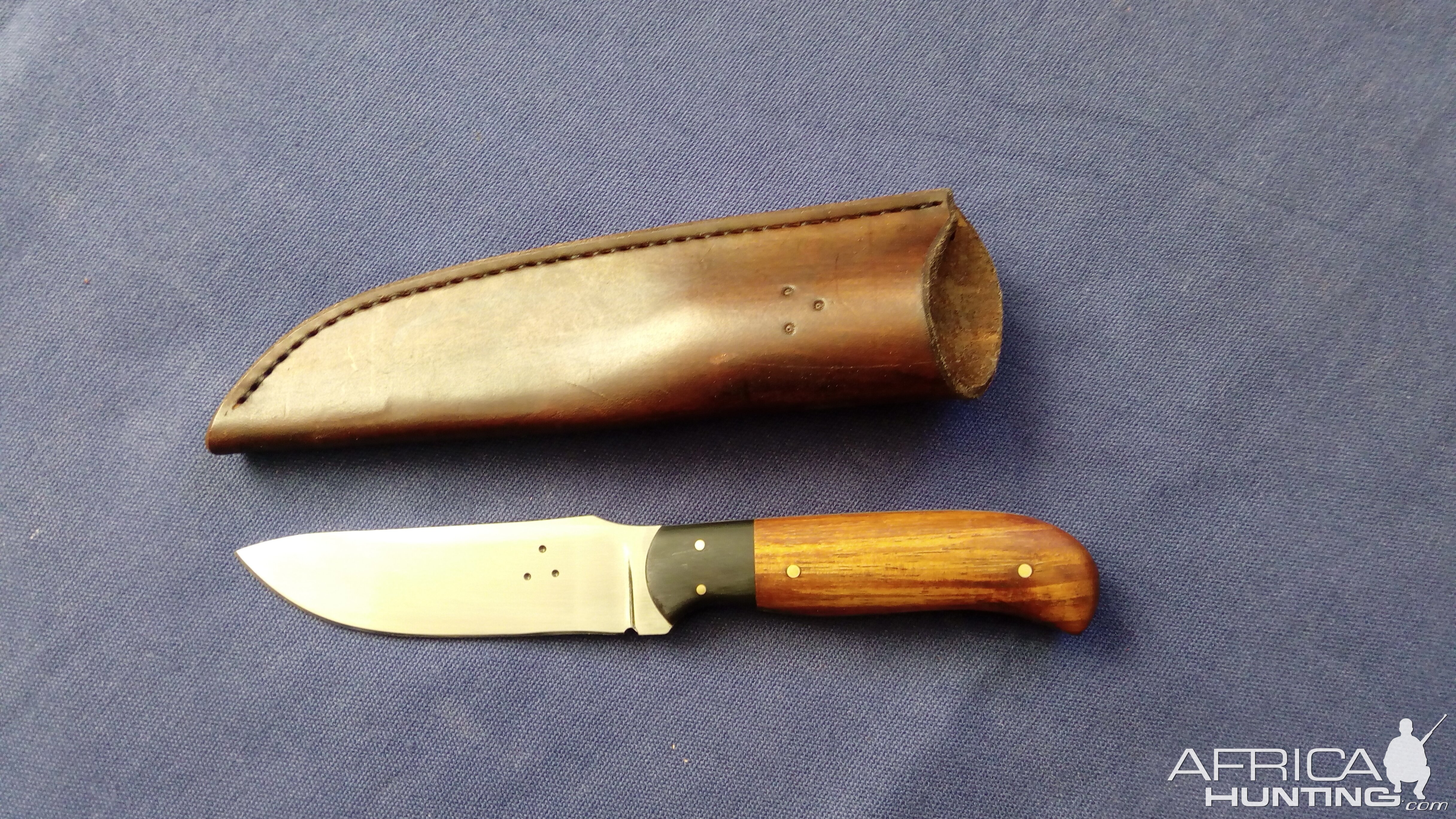 Buffalo Horn and Blackwood Thumbrest Skinner Knife