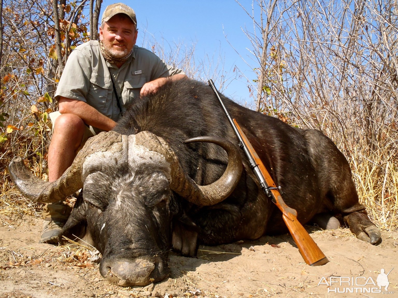 Buffalo Hunt Botswana