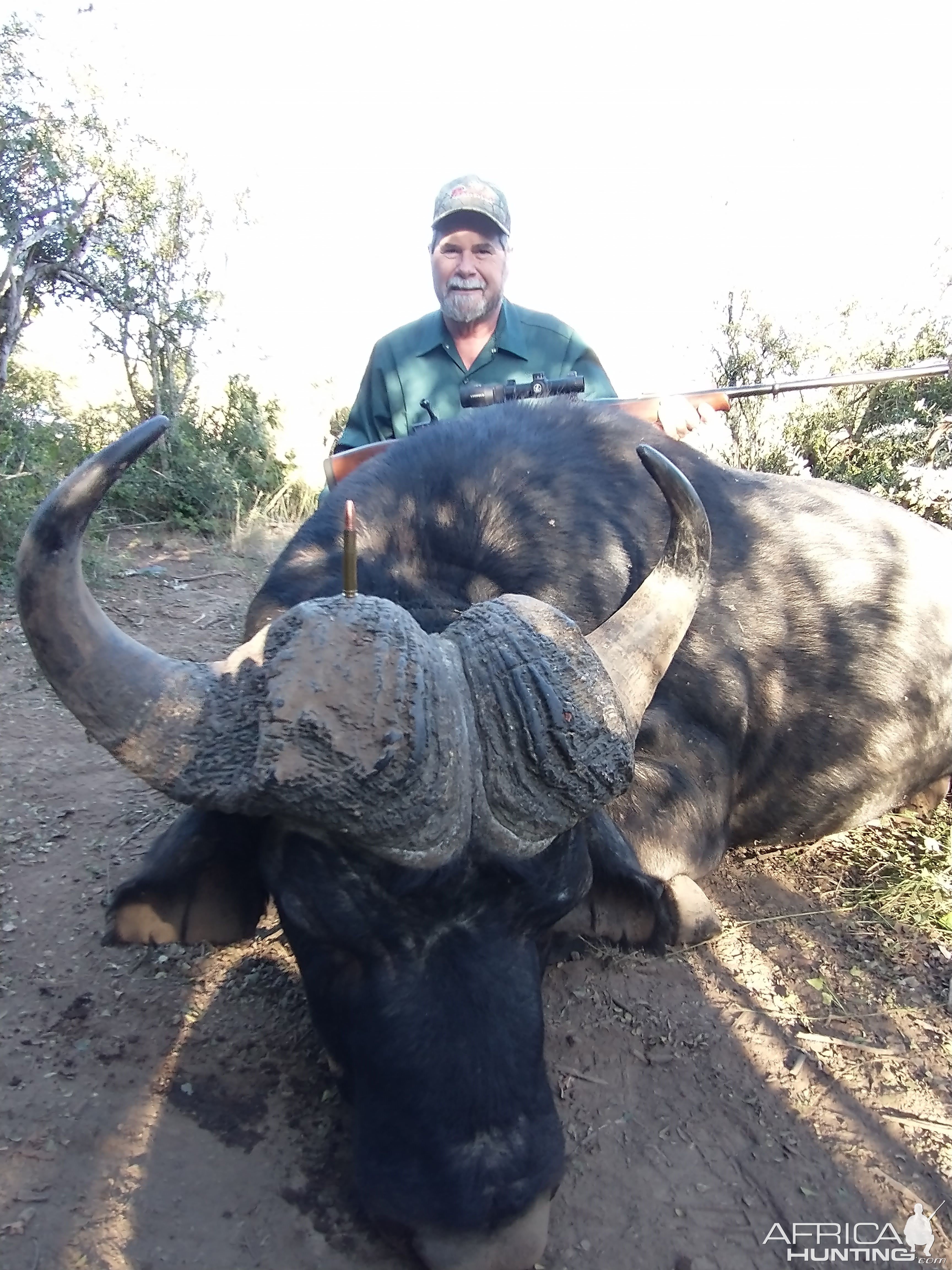Buffalo Hunt  Easten Cape South Africa