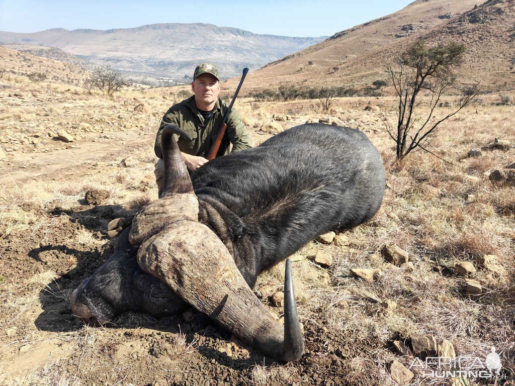 Buffalo Hunt Eastern Cape South Africa