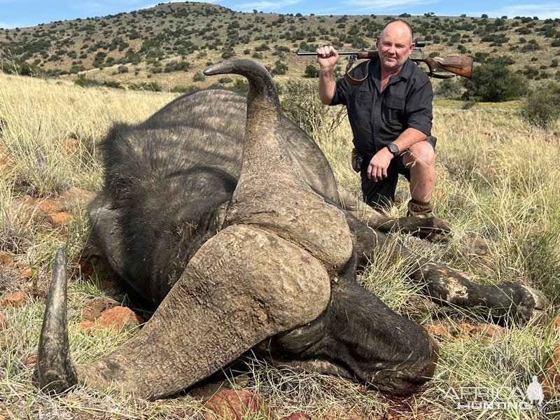 Buffalo Hunt Eastern Cape South Africa