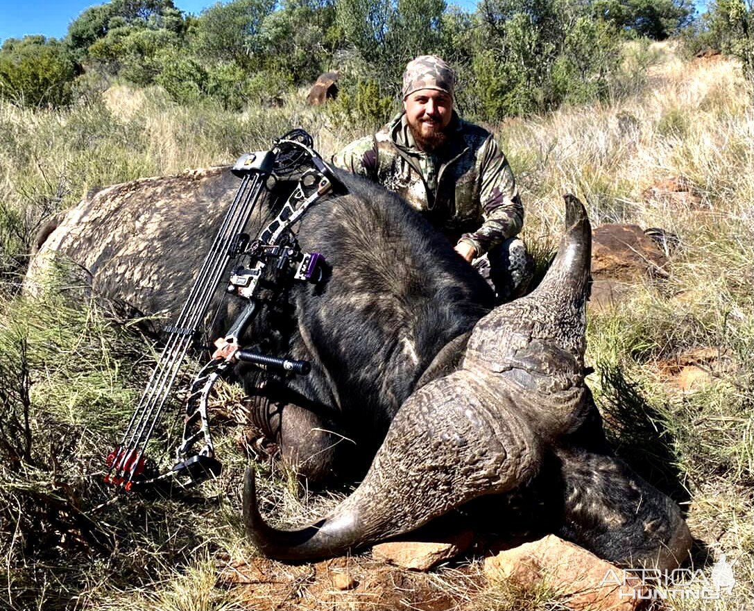 Buffalo Hunt Free State South Africa