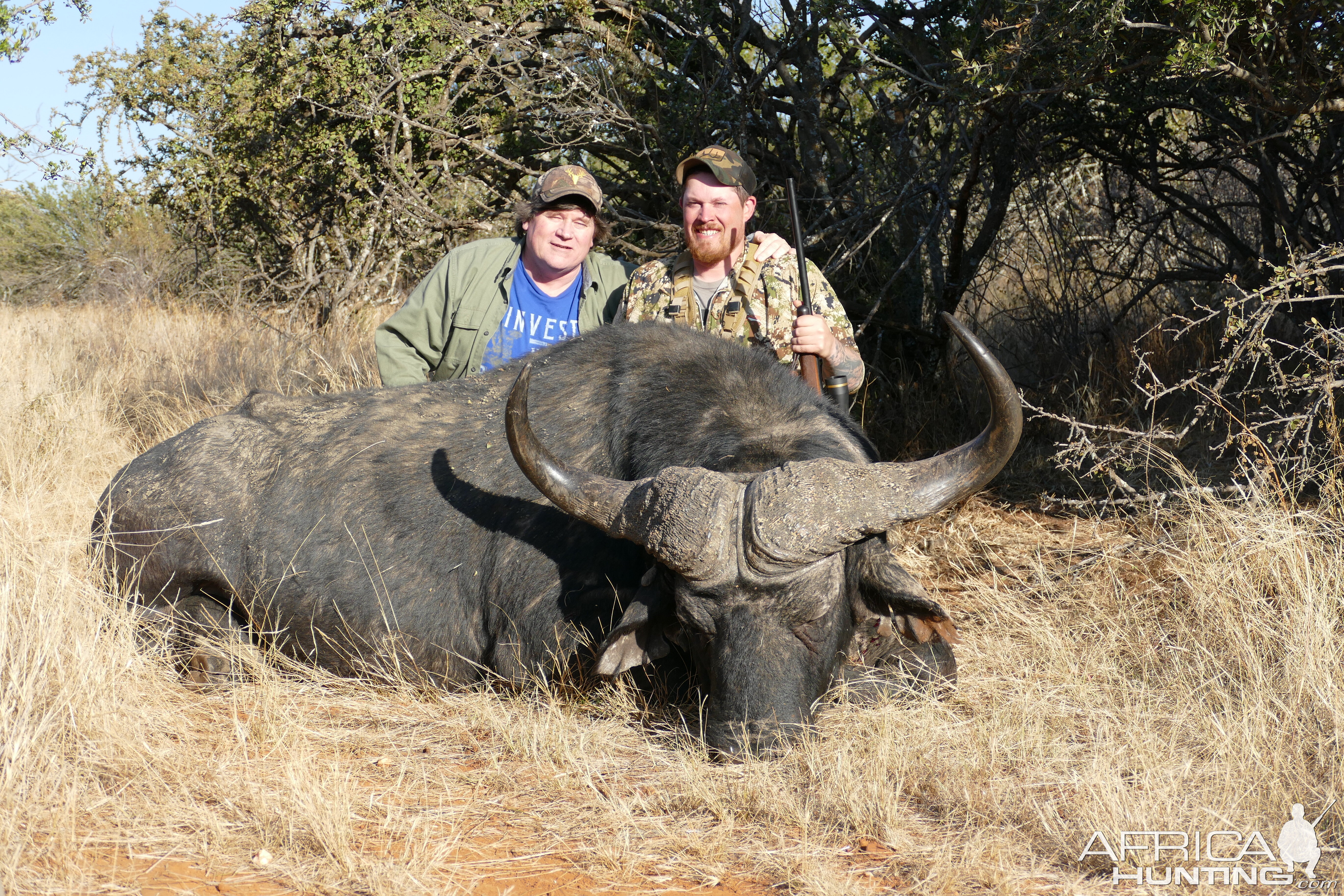 Buffalo Hunt Free State South Africa