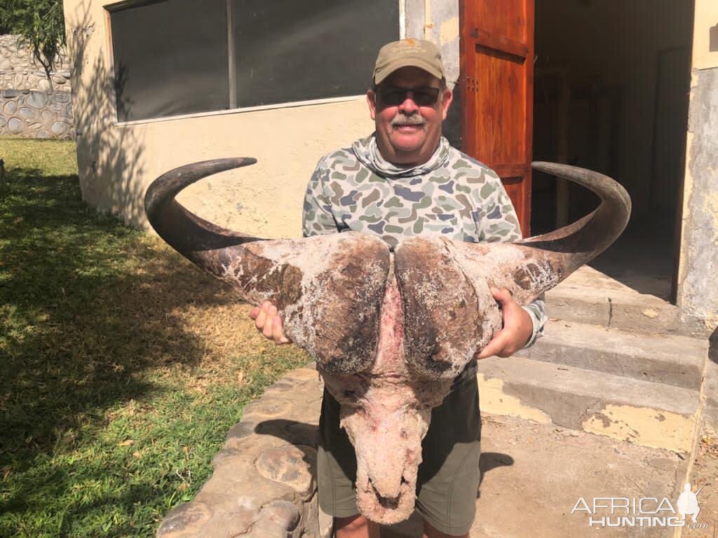 Buffalo Hunt Limpopo South Africa