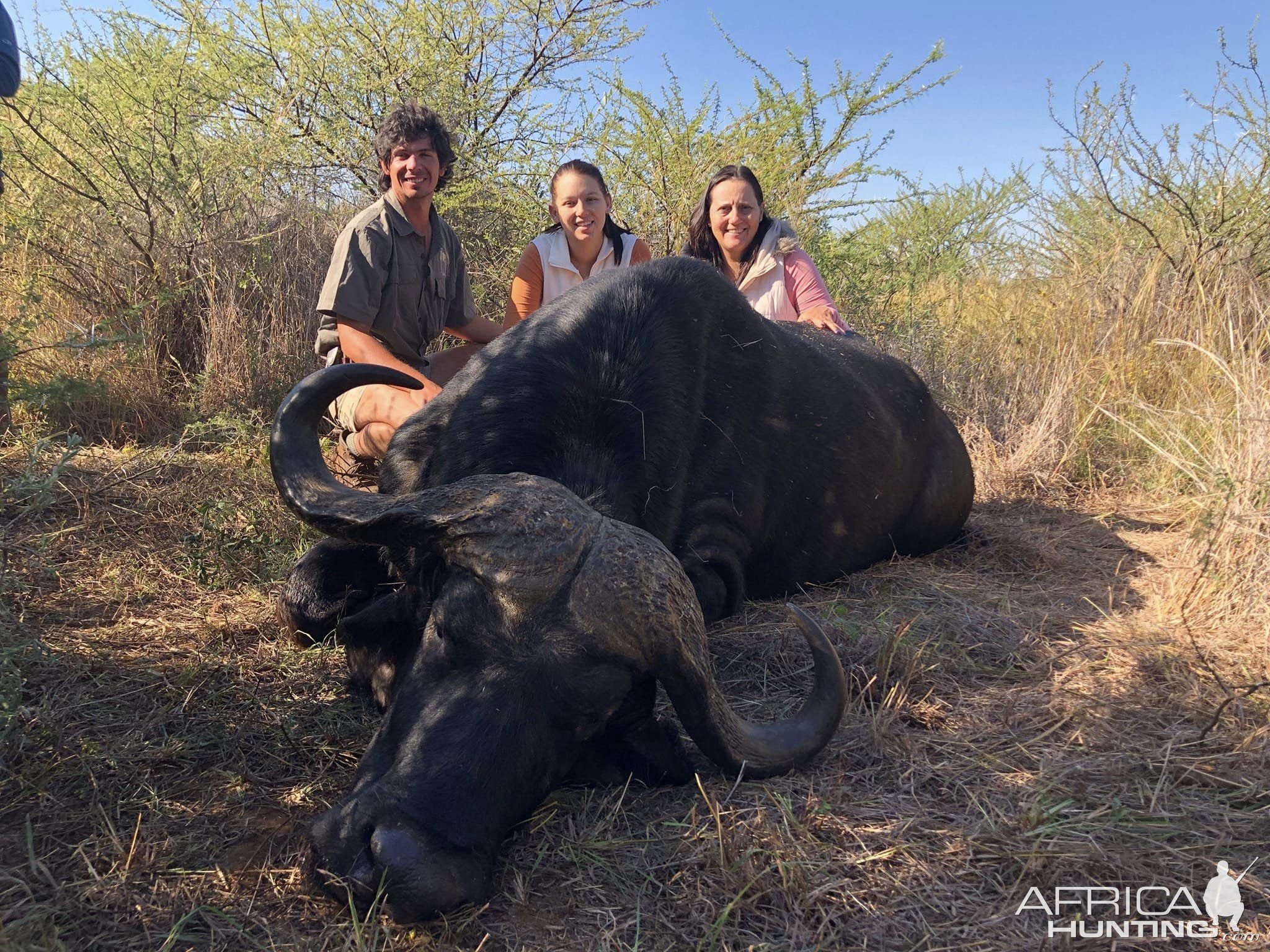 Buffalo Hunt Limpopo South Africa