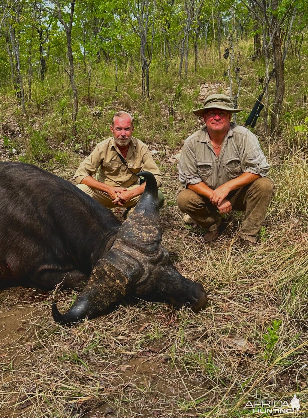 Buffalo Hunt Luangwa Valley Zambia