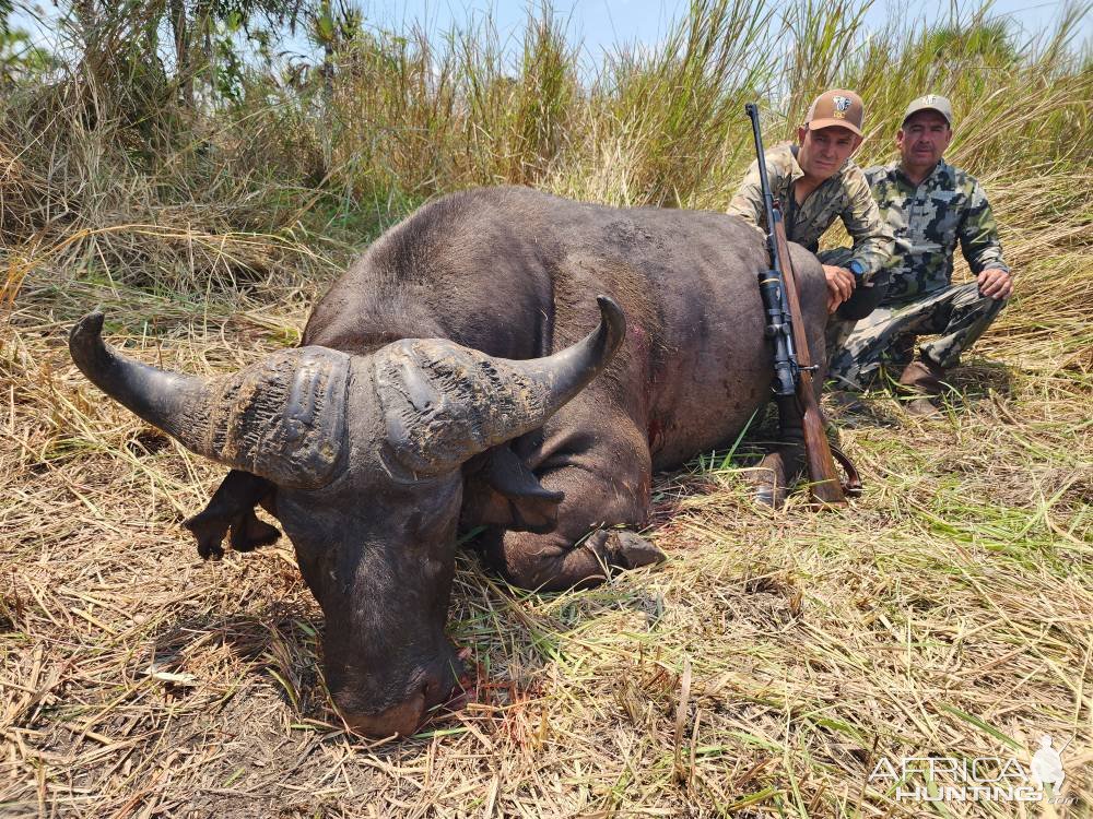 Buffalo Hunt Mozambique