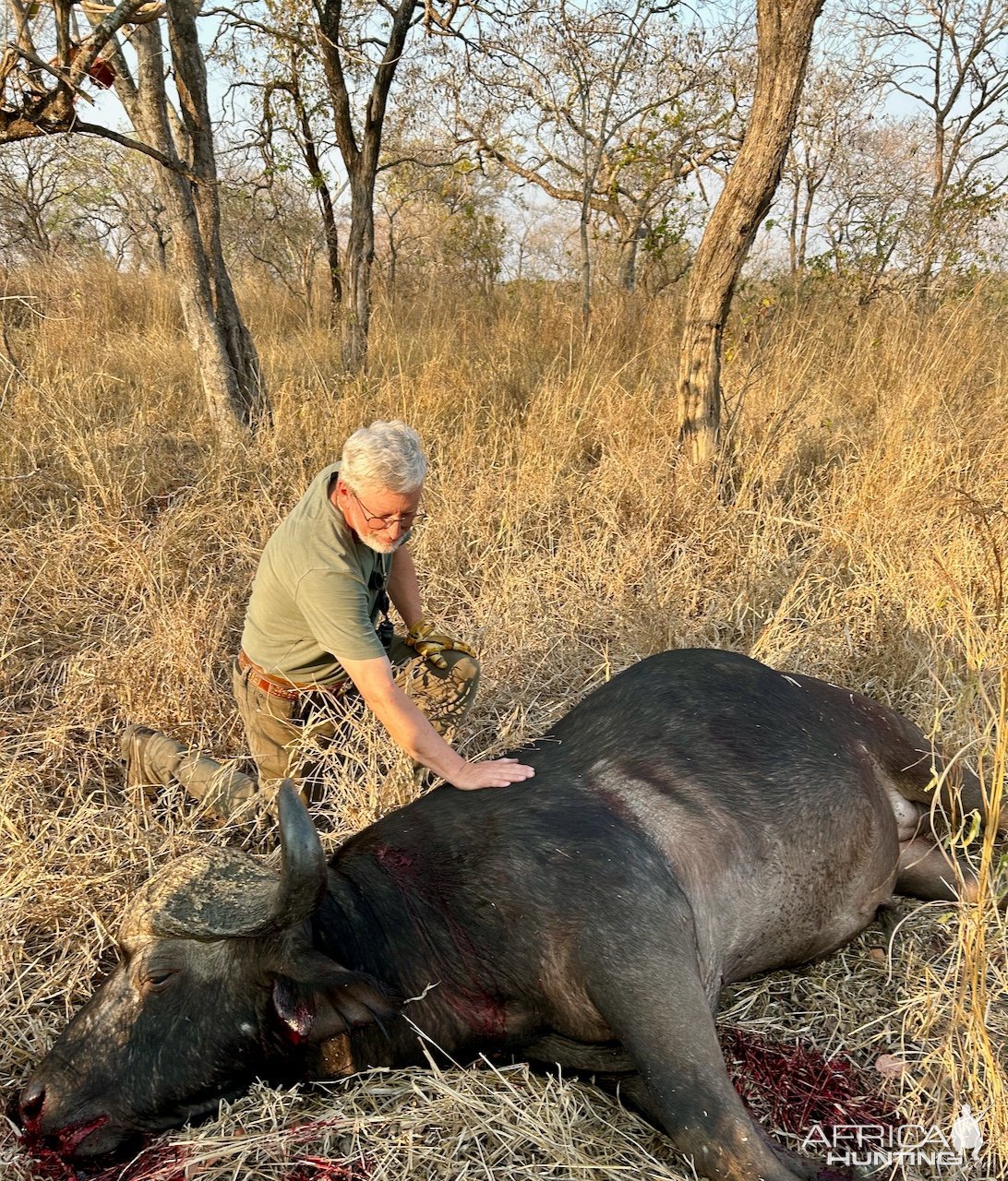 Buffalo Hunt Mozambique