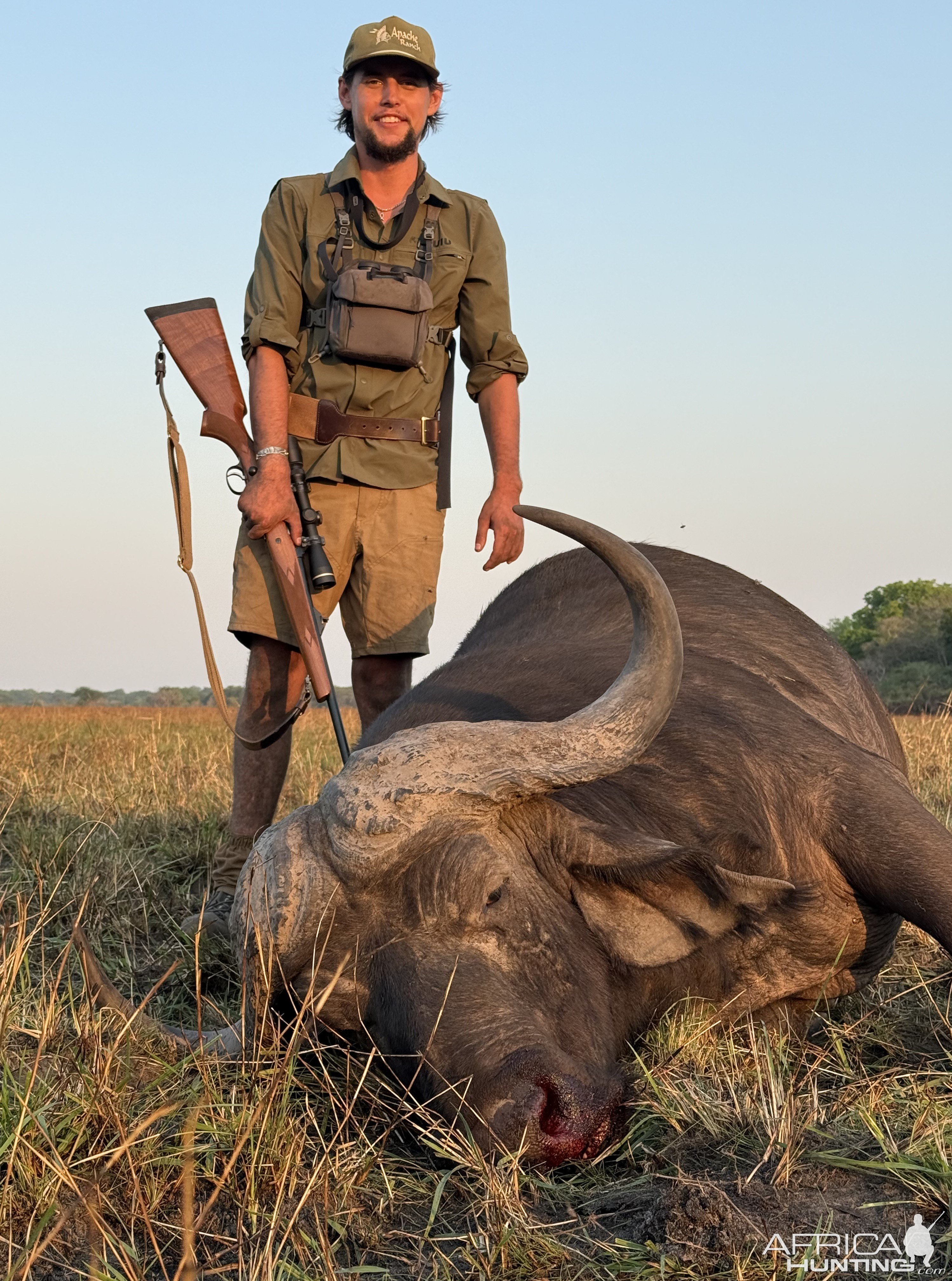 Buffalo Hunt Mozambique