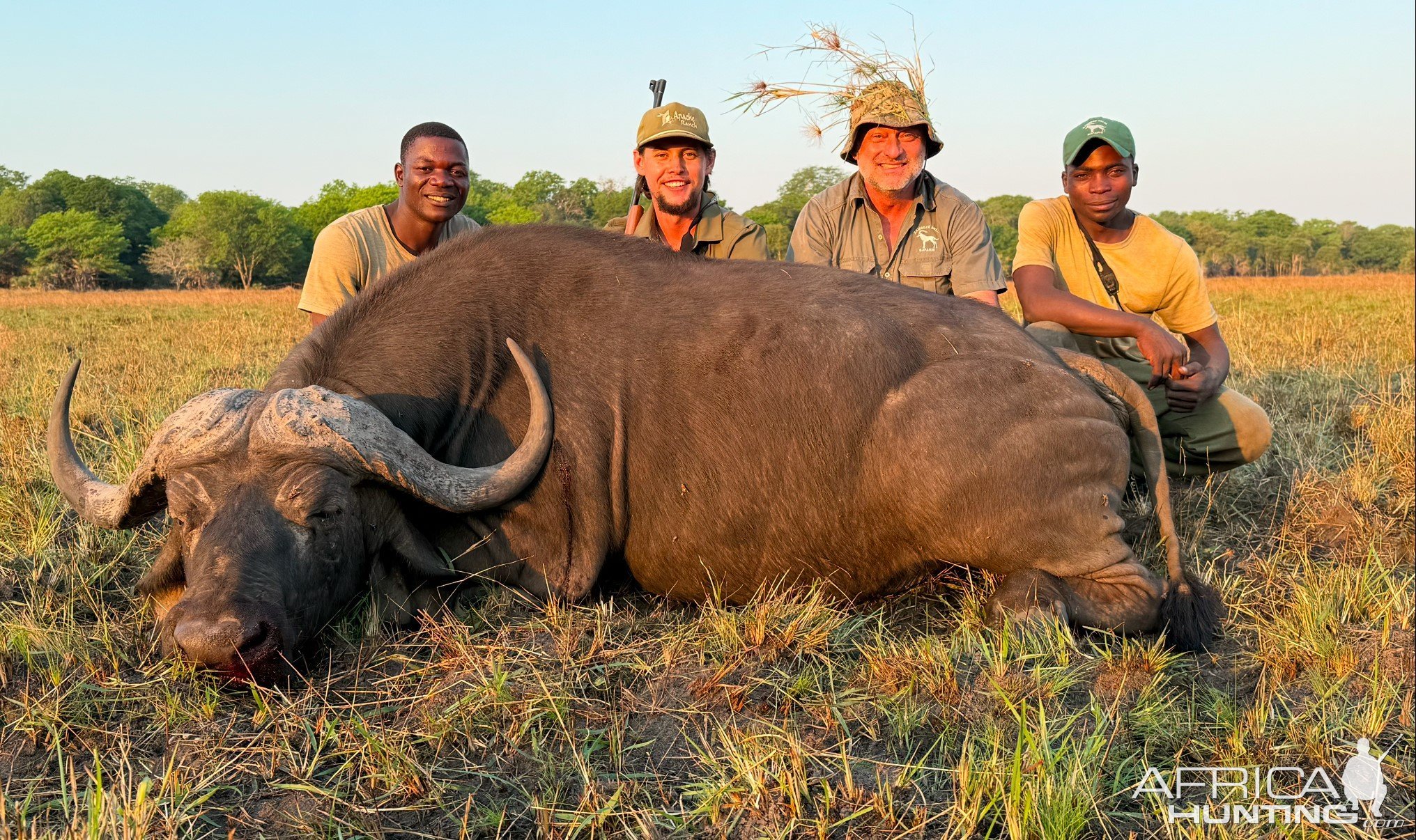 Buffalo Hunt Mozambique