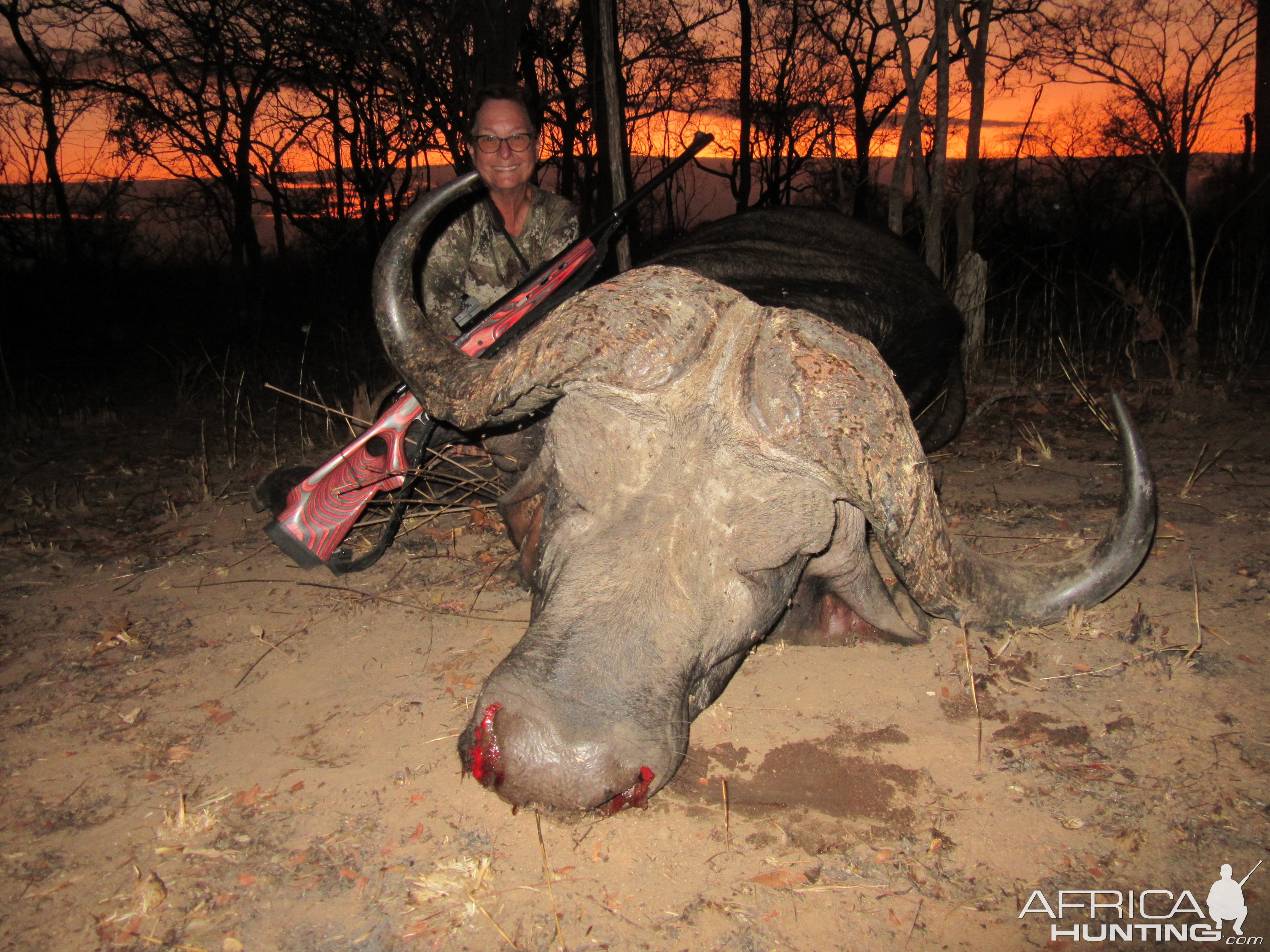 Buffalo Hunt Mozambique