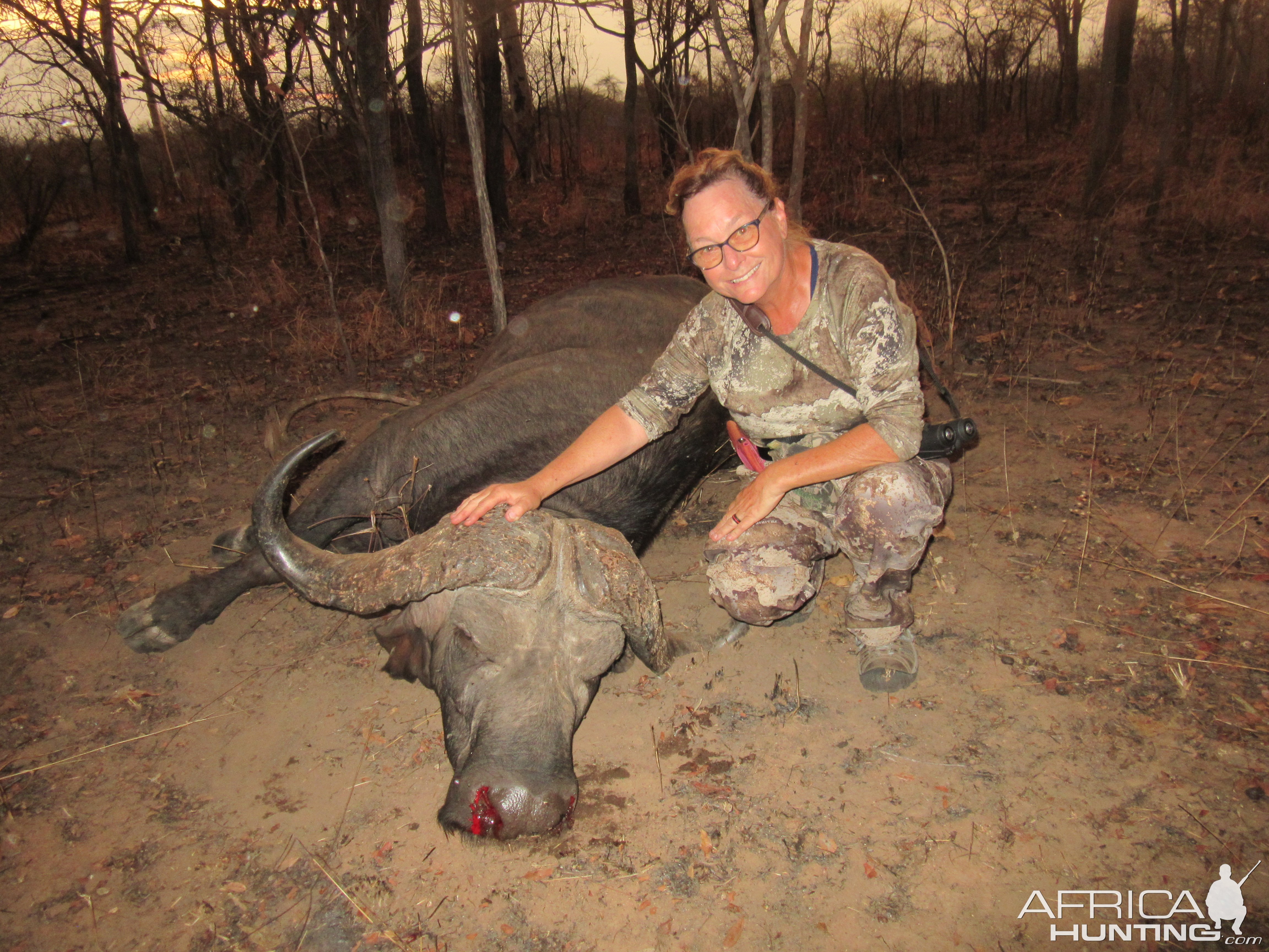 Buffalo Hunt Mozambique