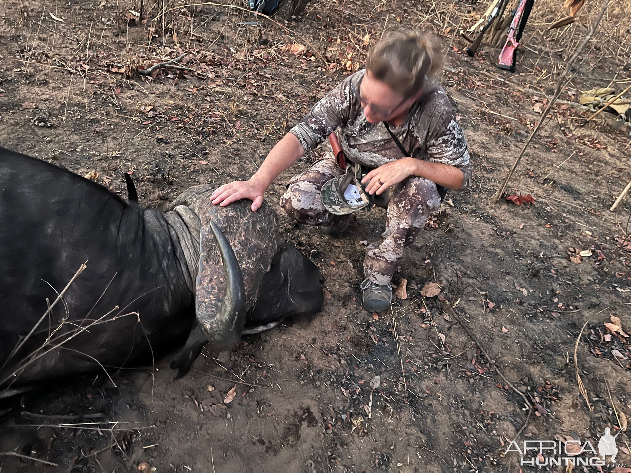 Buffalo Hunt Mozambique