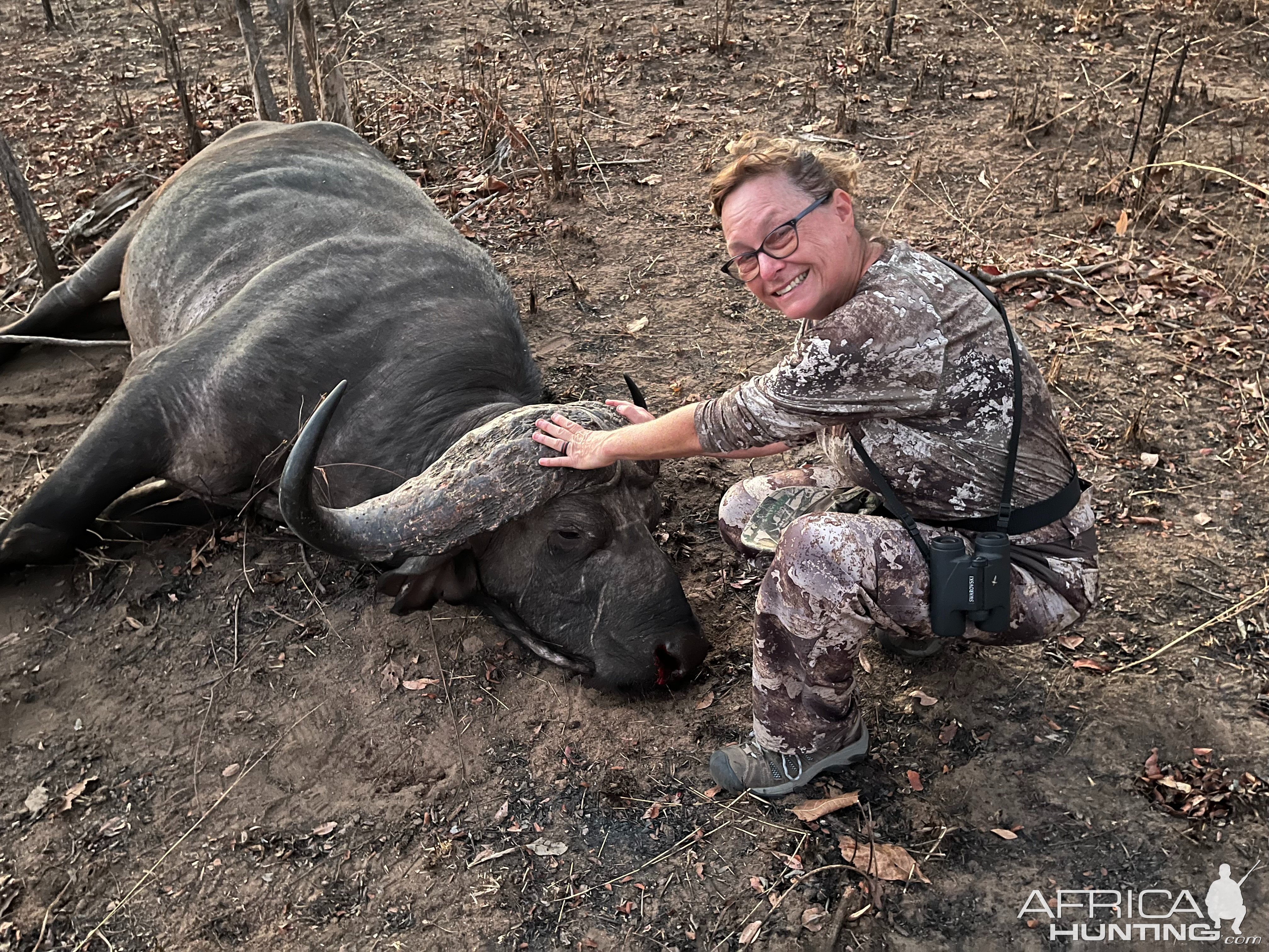 Buffalo Hunt Mozambique