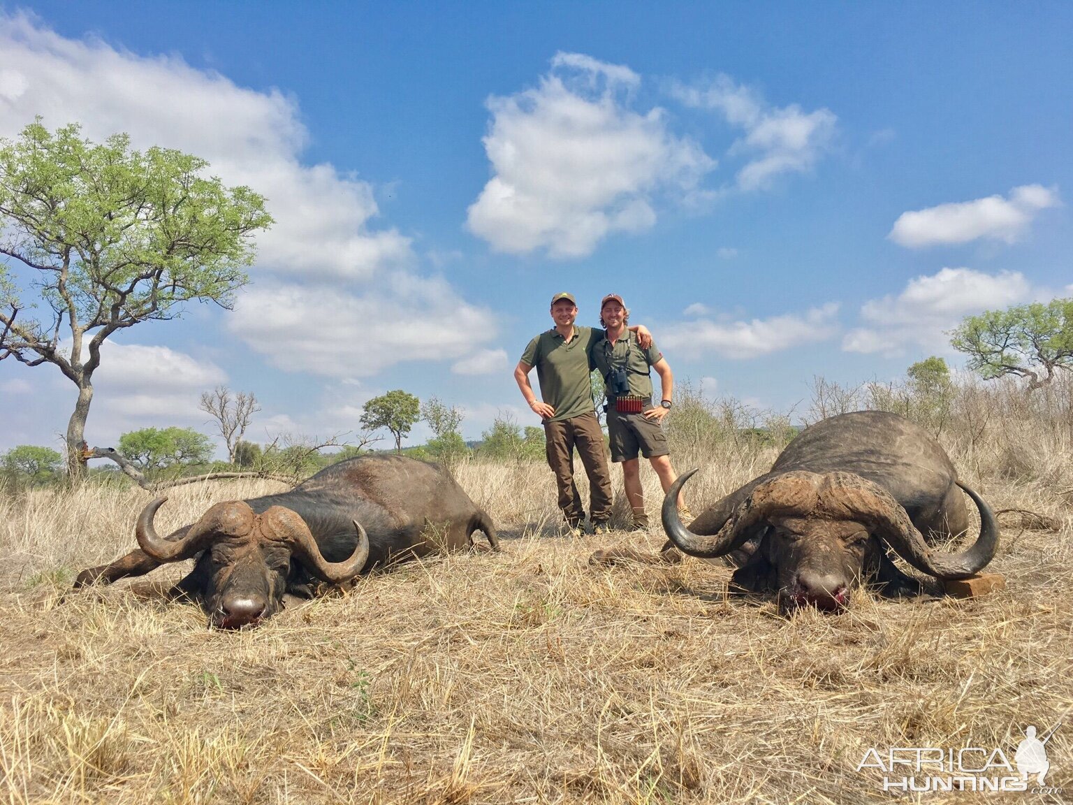 Buffalo Hunt Mozambique