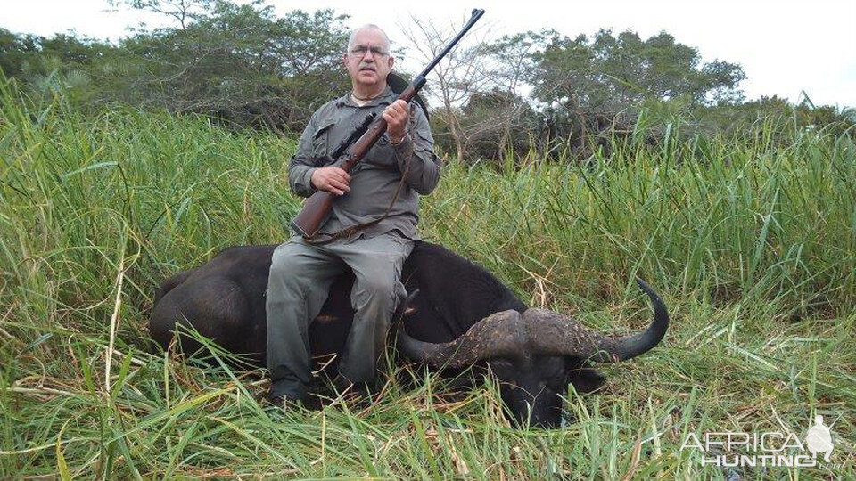 Buffalo Hunt Mozambique