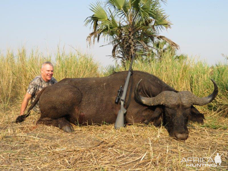 Buffalo Hunt Mozambique