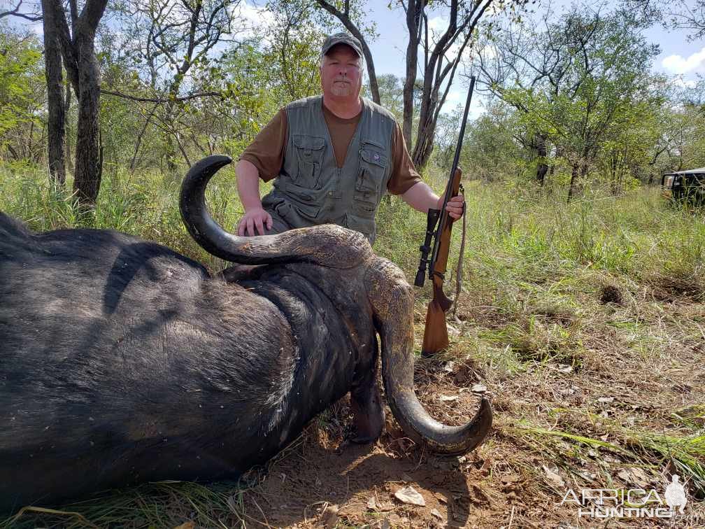 Buffalo Hunt Naivasha Zimbabwe