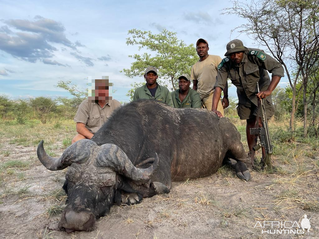 Buffalo Hunt Namibia