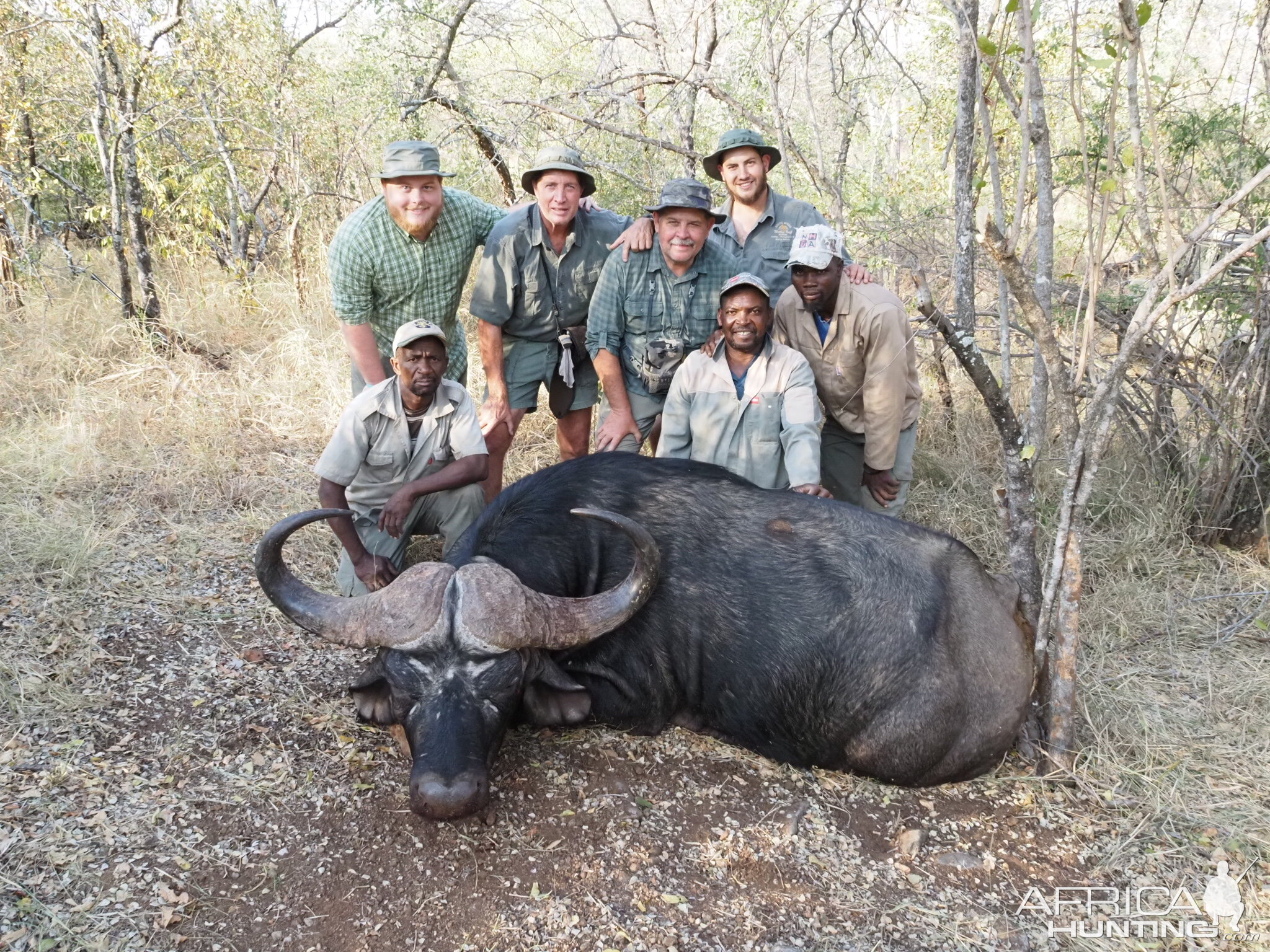 Buffalo Hunt South Africa