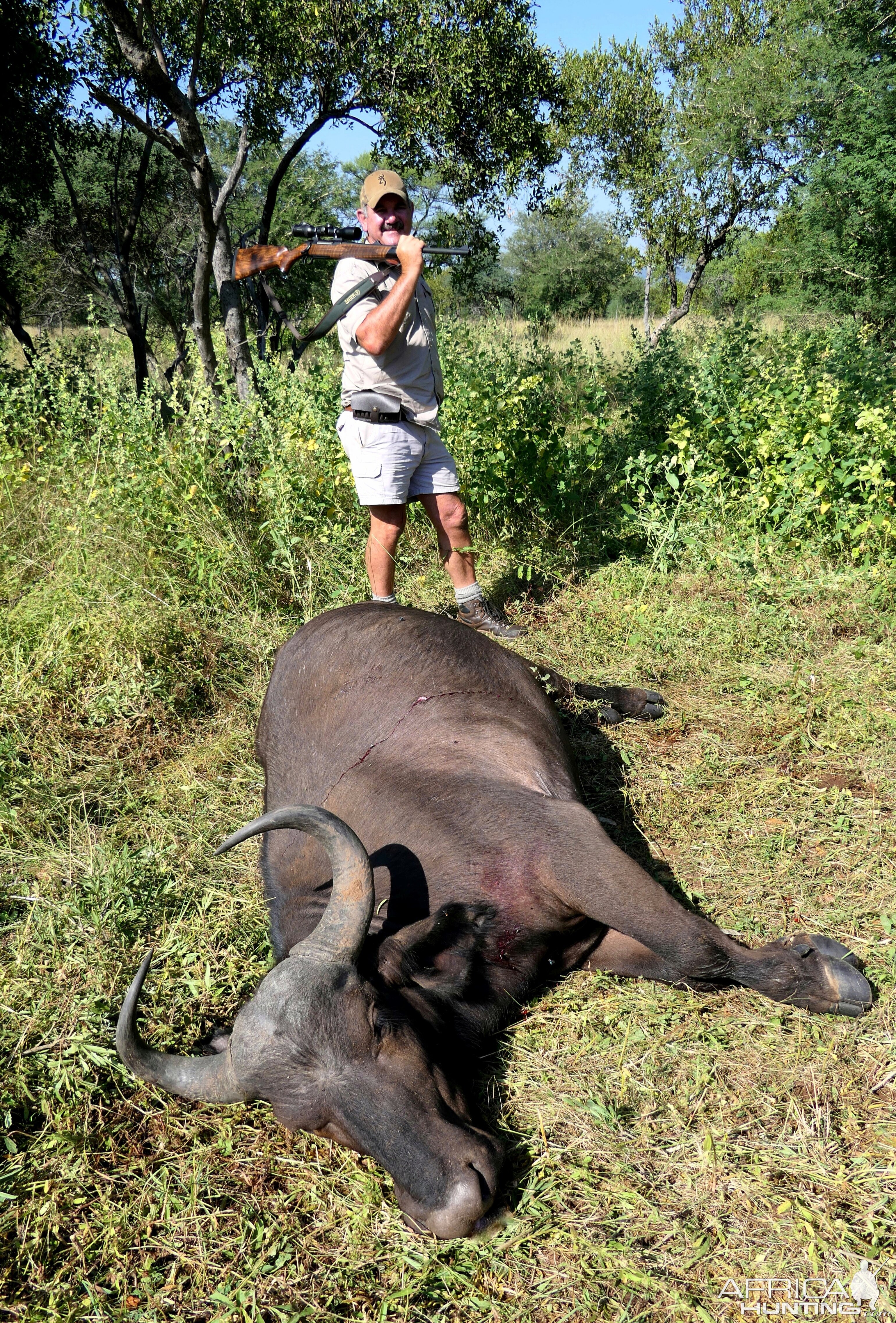 Buffalo Hunt South Africa