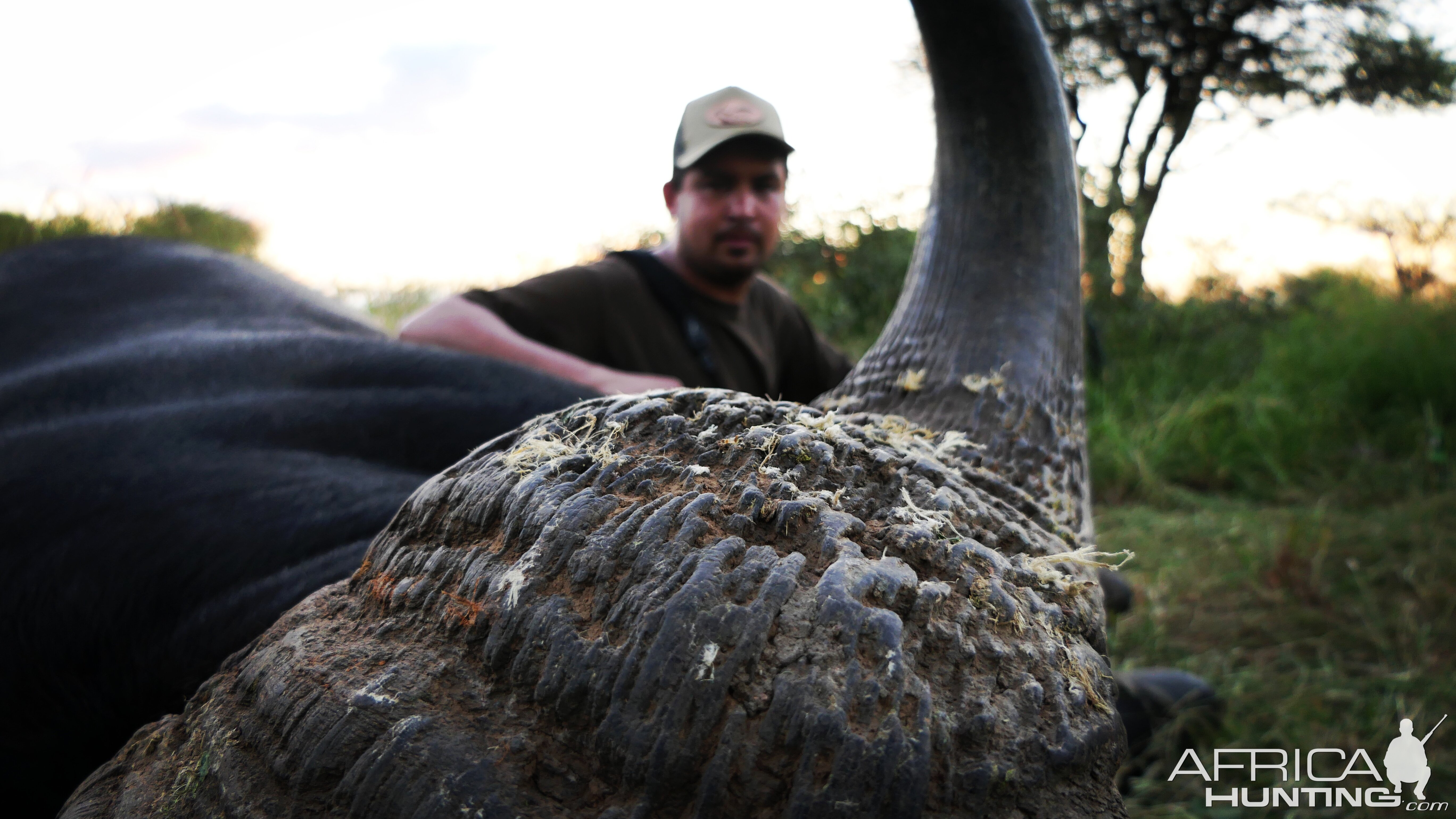 Buffalo Hunt South Africa