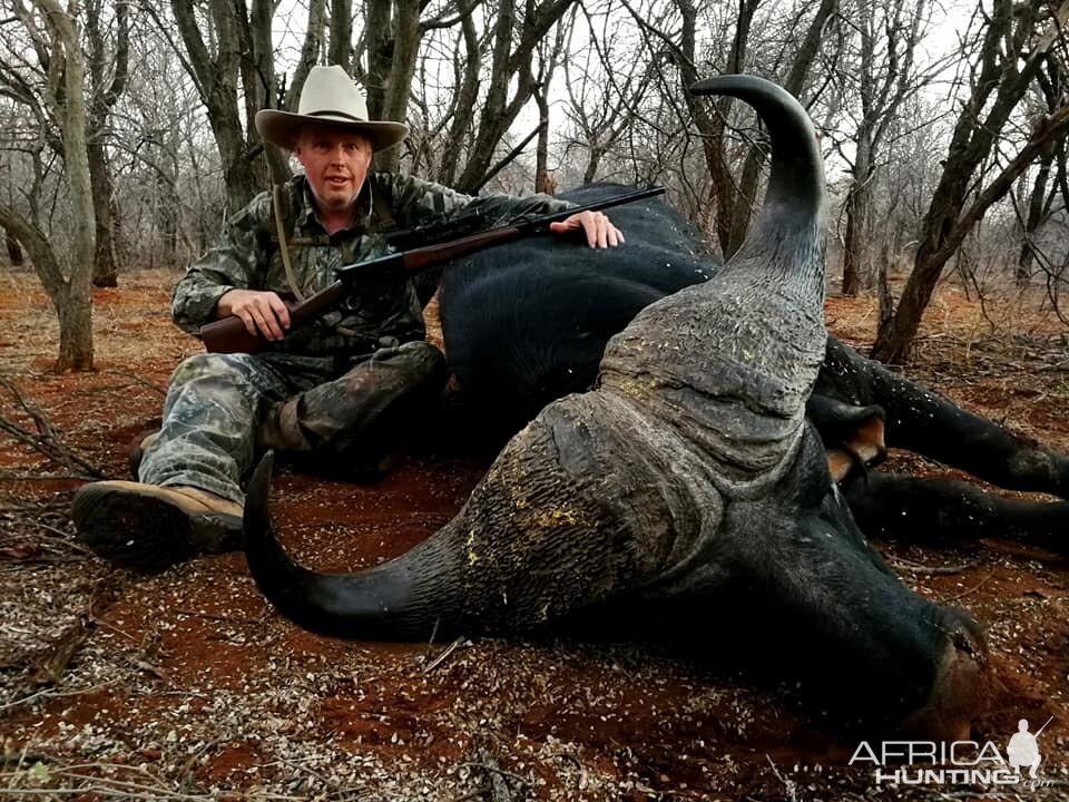 Buffalo Hunt South Africa