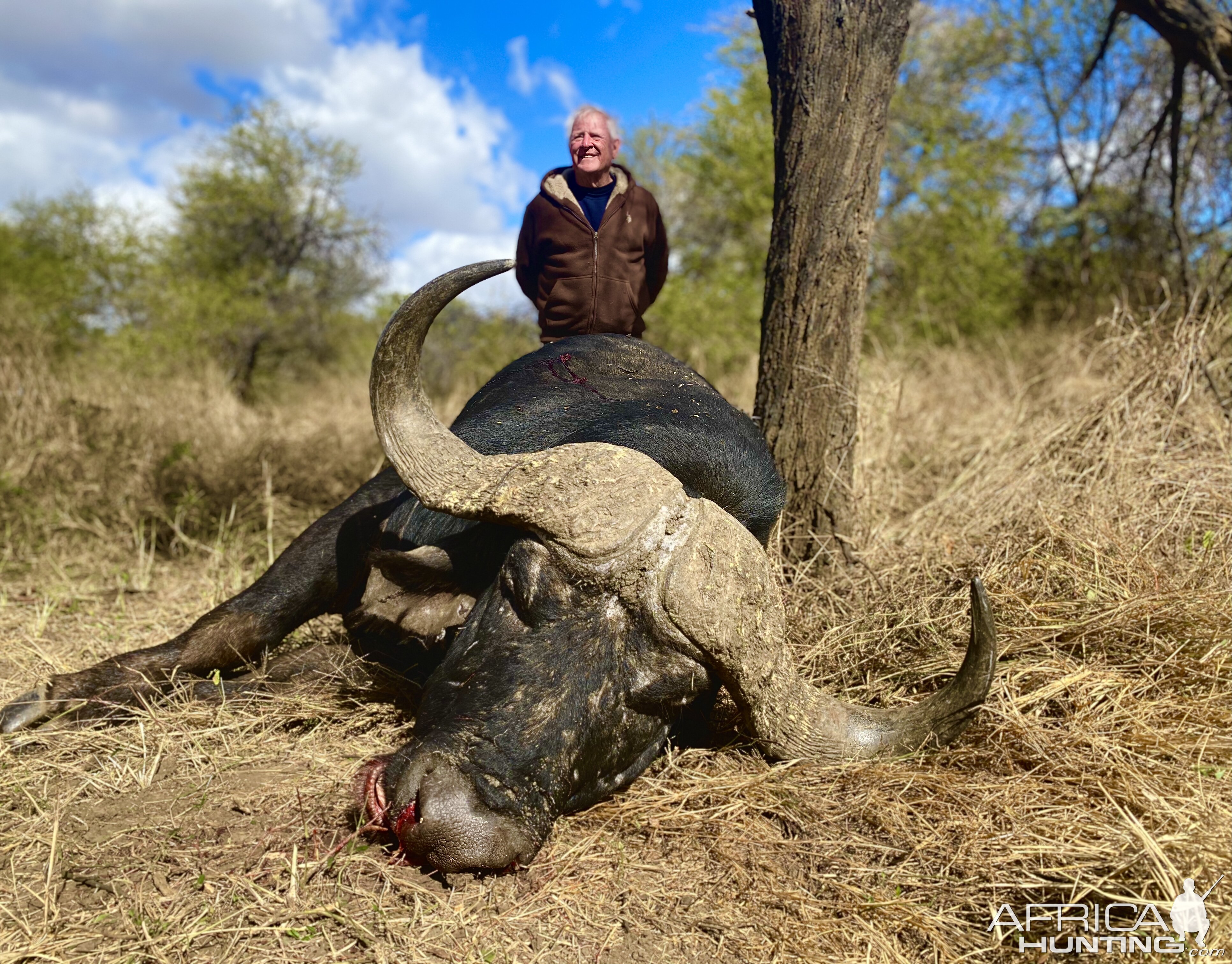 Buffalo Hunt South Africa