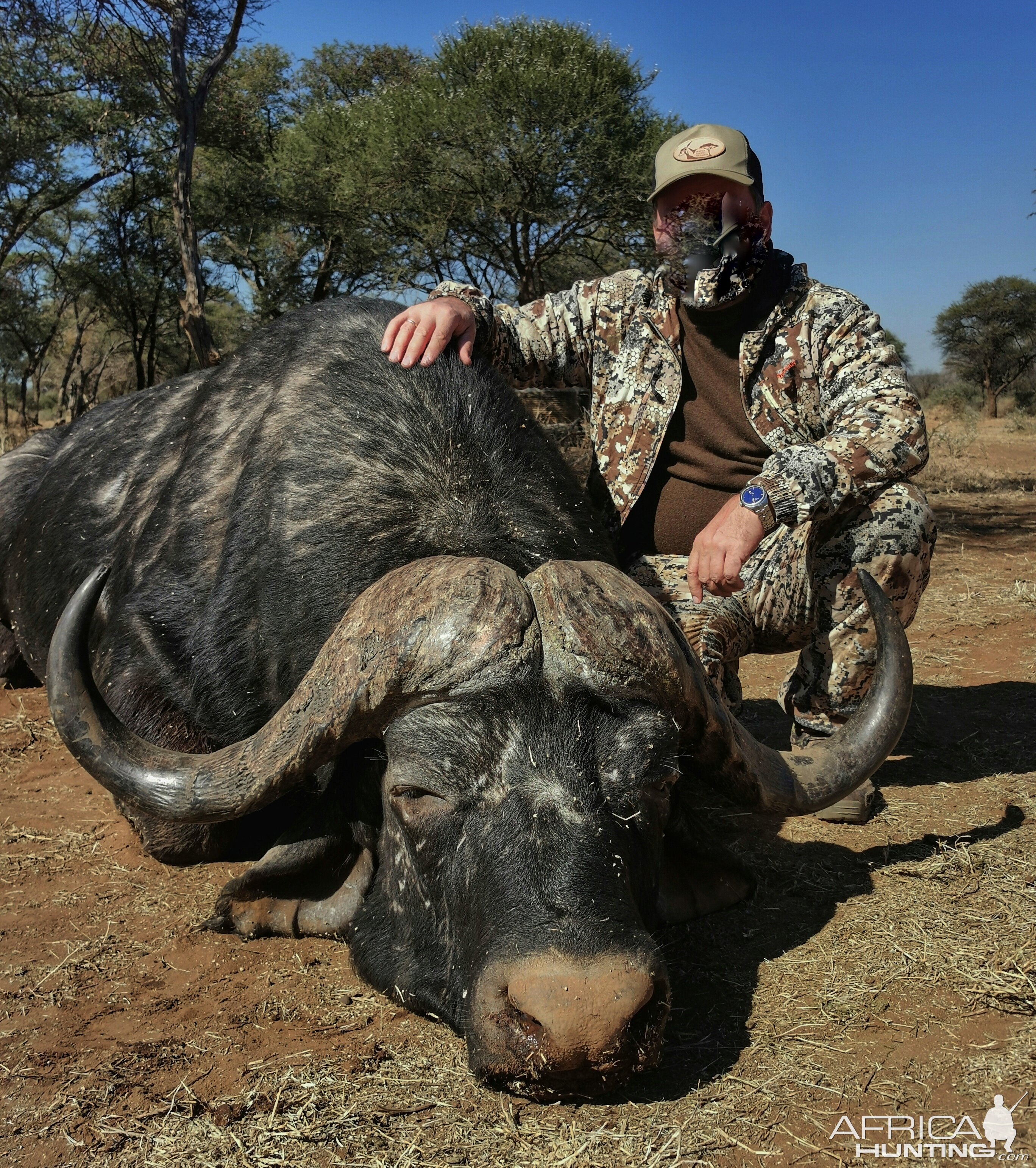 Buffalo Hunt South Africa