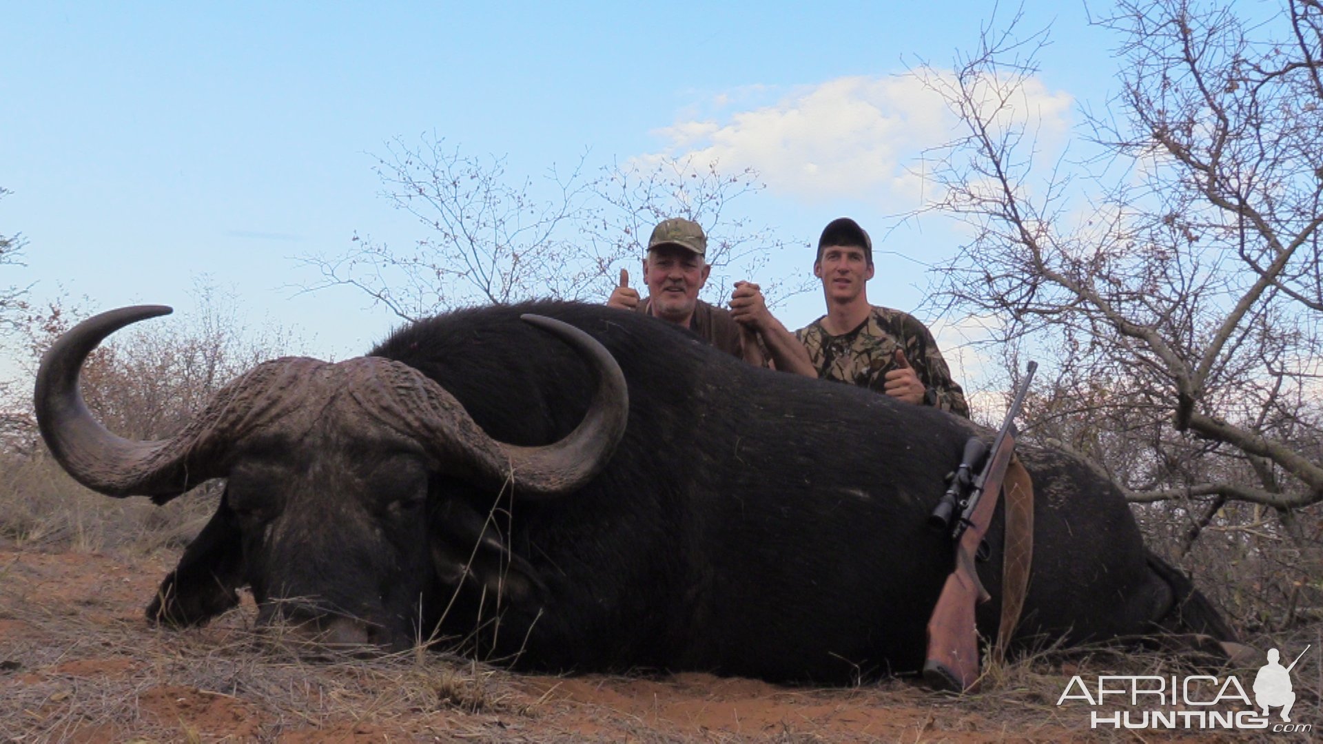 Buffalo Hunt South Africa