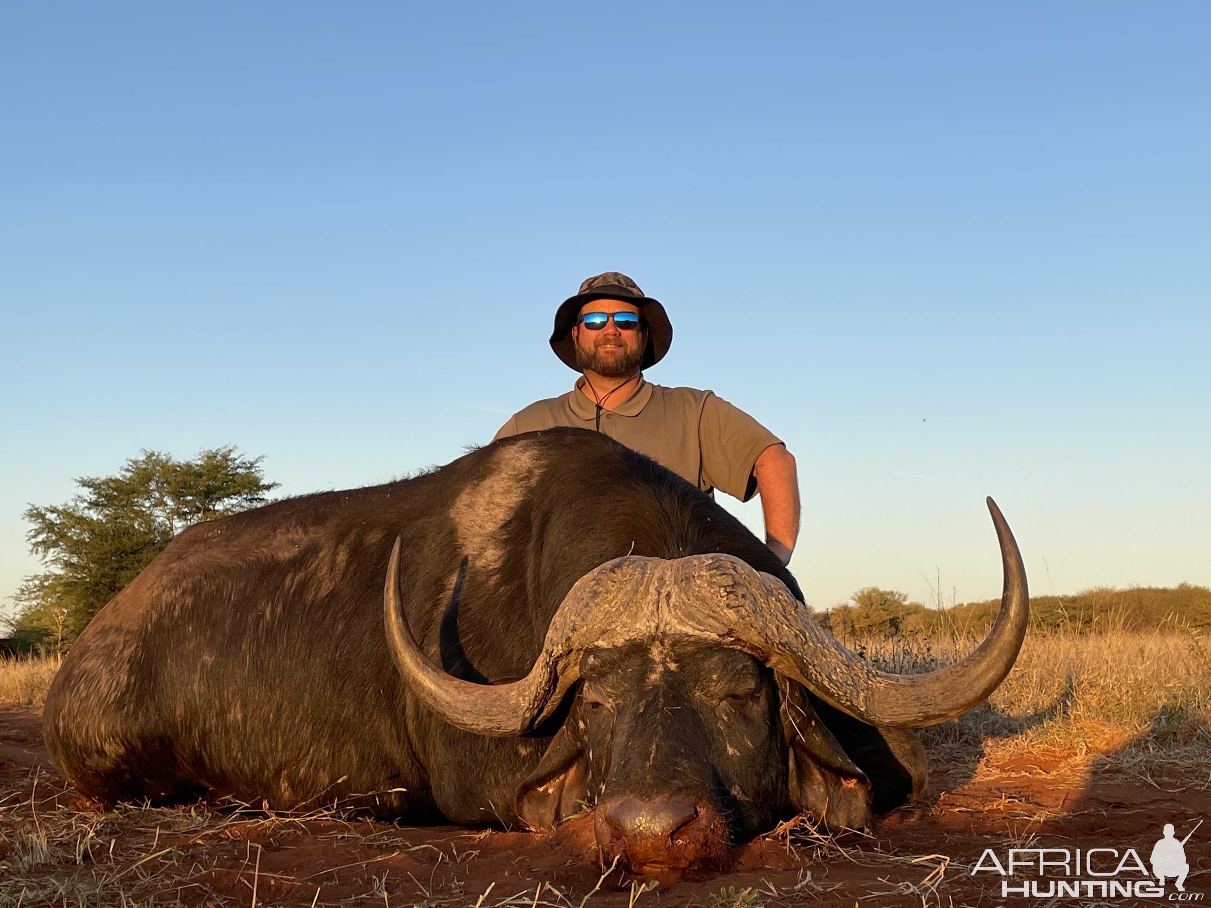 Buffalo Hunt South Africa | AfricaHunting.com