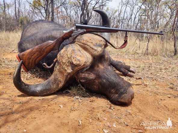 Buffalo Hunt South Africa