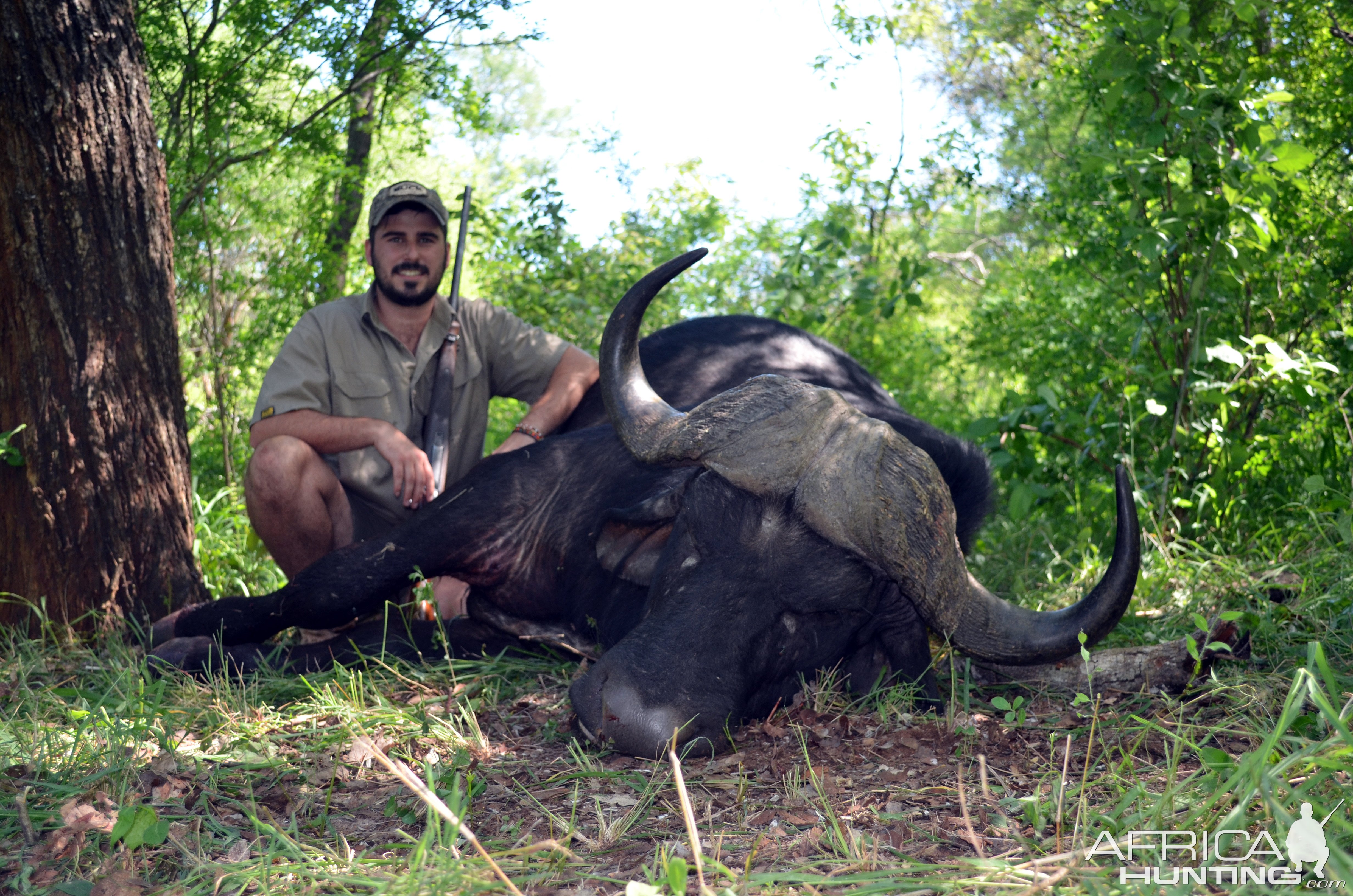 Buffalo Hunt South Africa