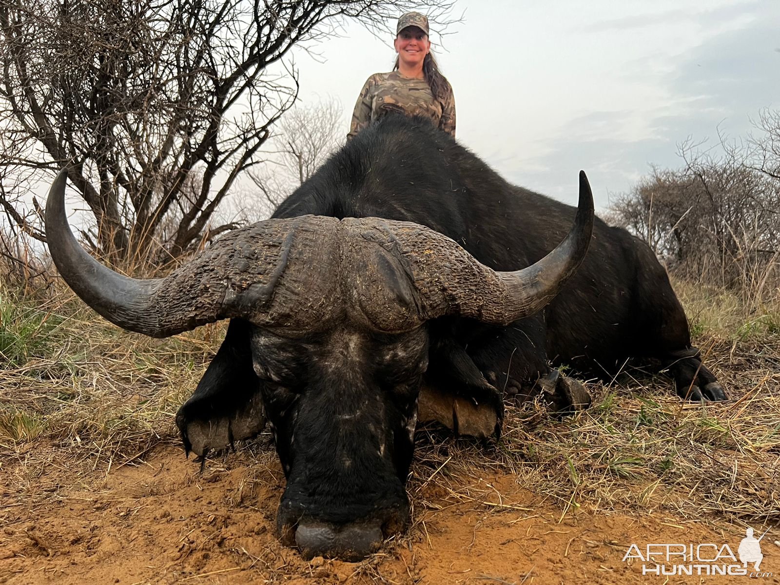 Buffalo Hunt South Africa