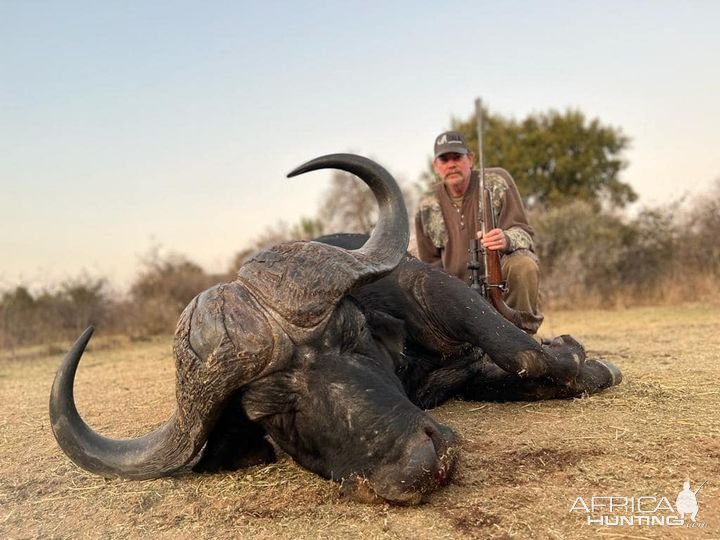 Buffalo Hunt South Africa