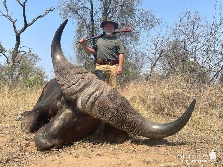 Buffalo Hunt South Africa