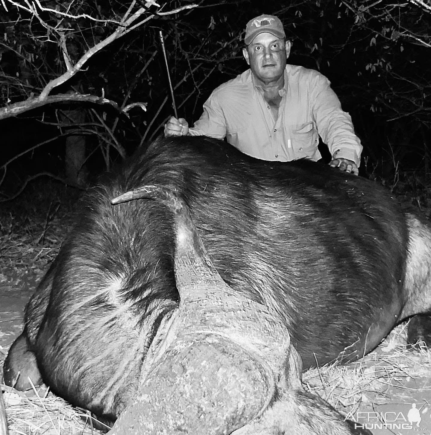 Buffalo Hunt South Africa | AfricaHunting.com