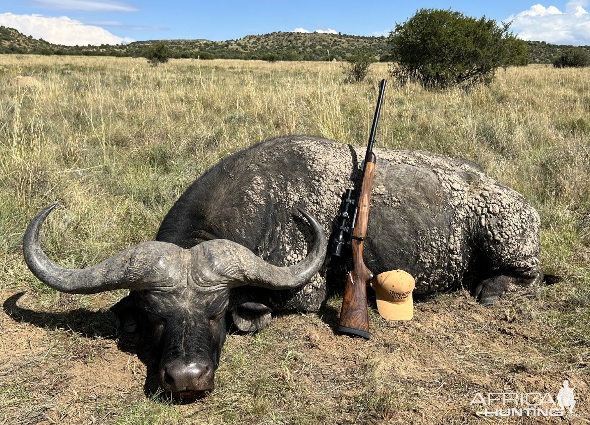 Buffalo Hunt South Africa