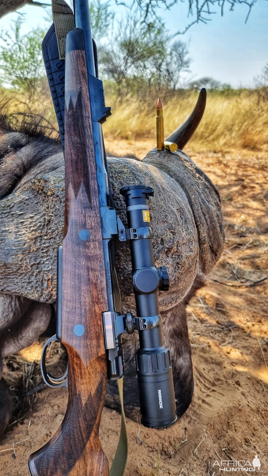 Buffalo Hunt South Africa | AfricaHunting.com