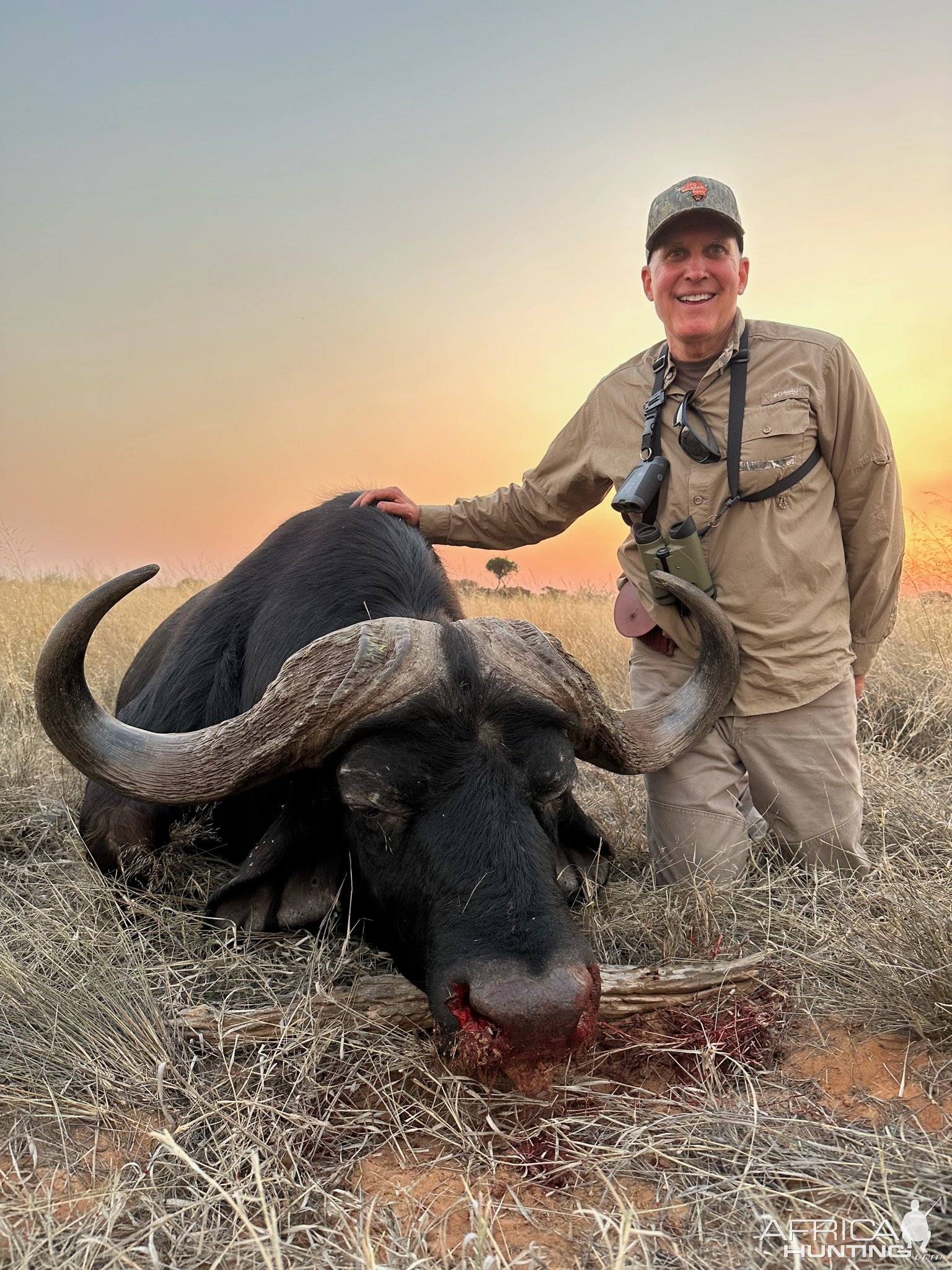 Buffalo Hunt South Africa