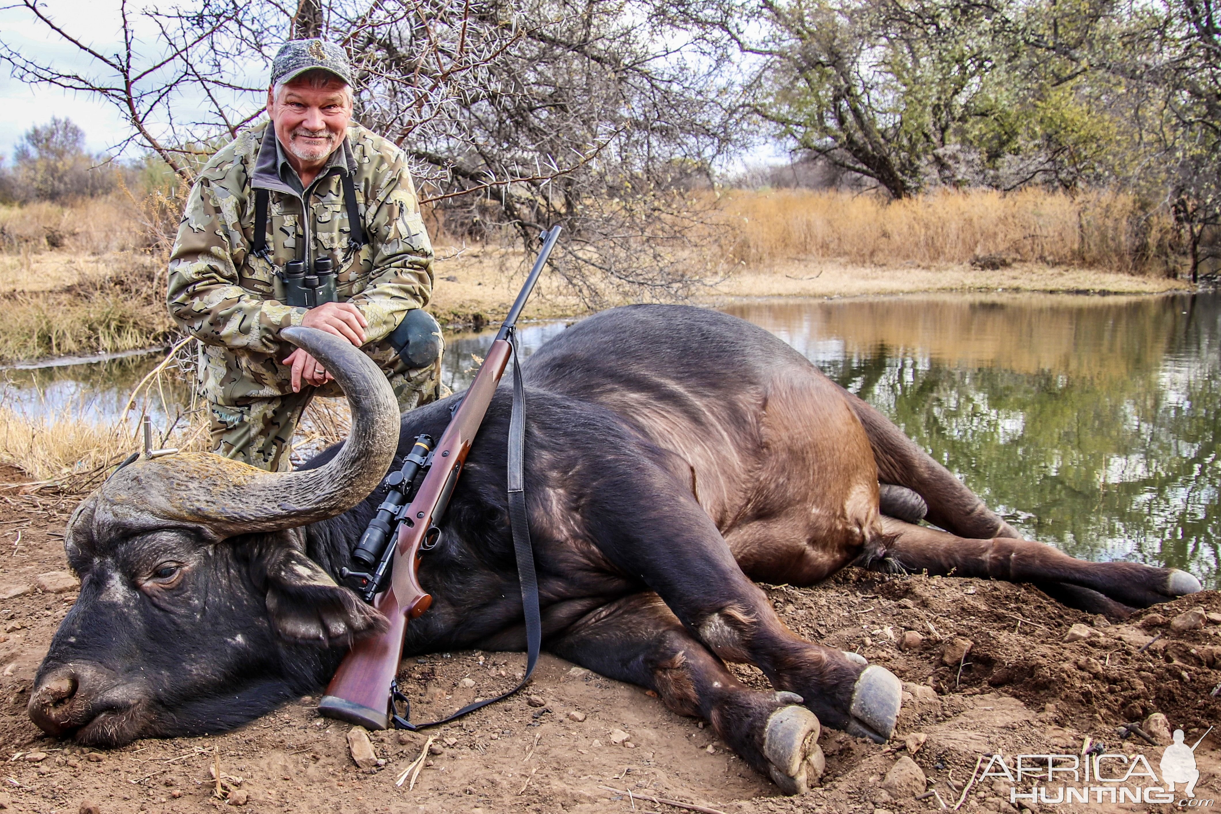 Buffalo Hunt South Africa