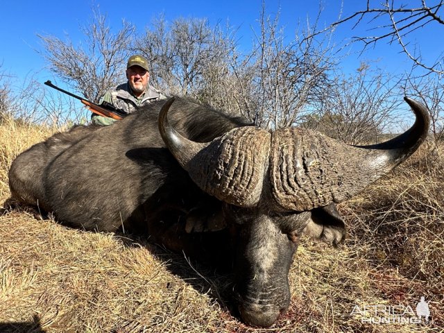 Buffalo Hunt South Africa