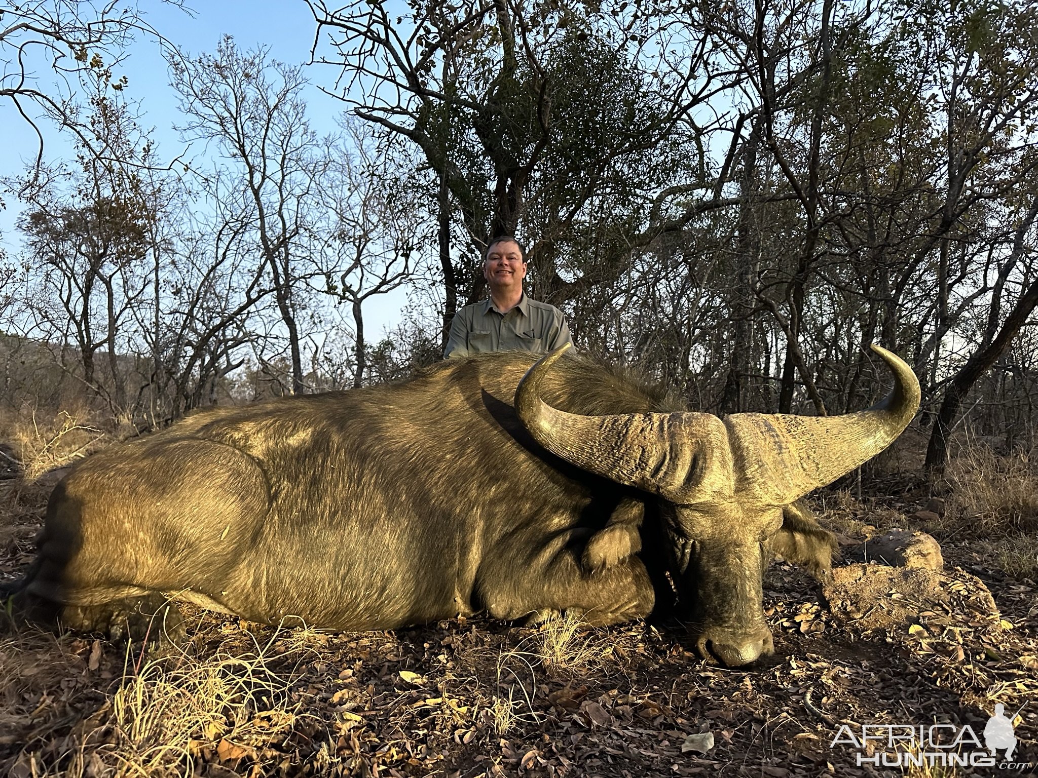 Buffalo Hunt South Africa